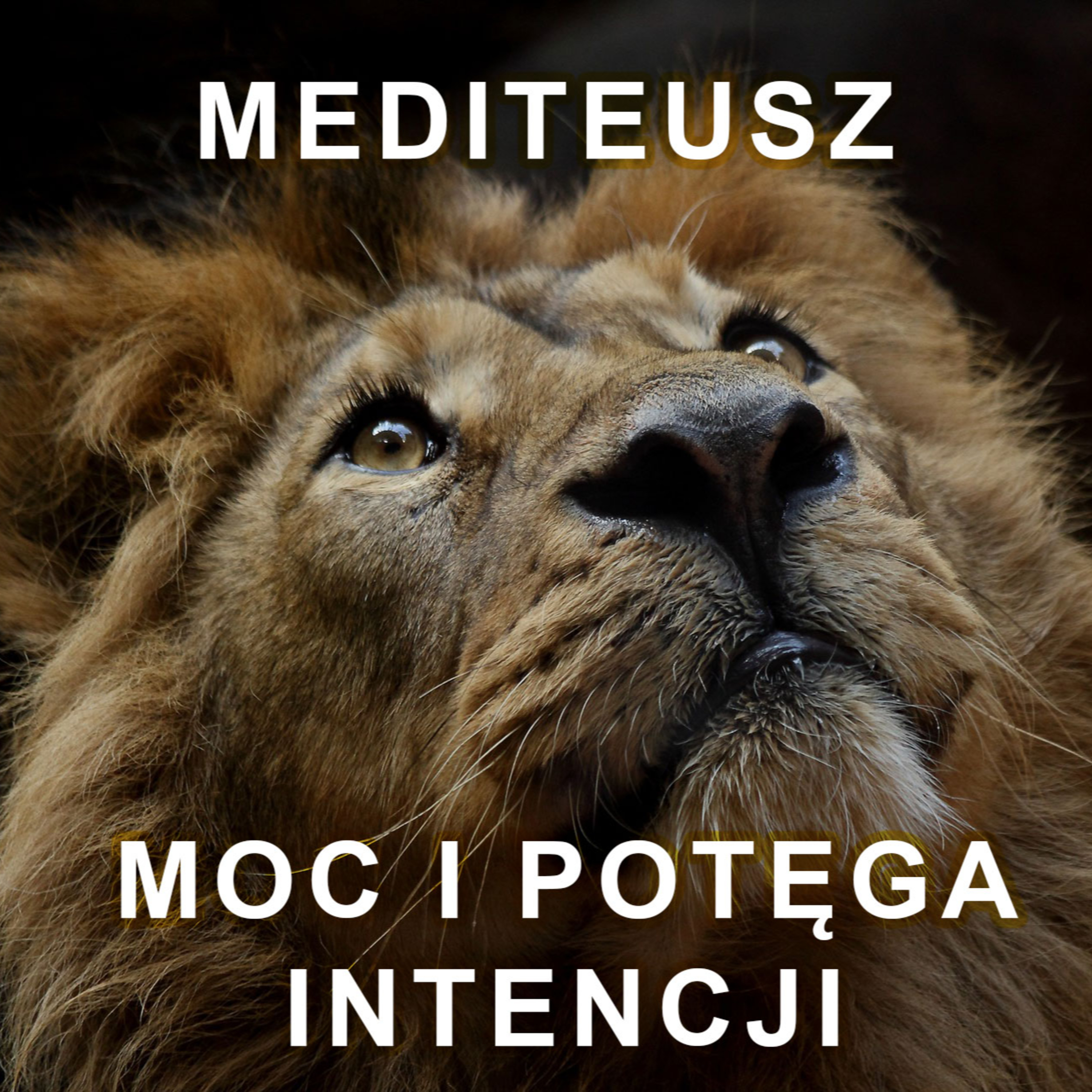 MEDITEUSZ