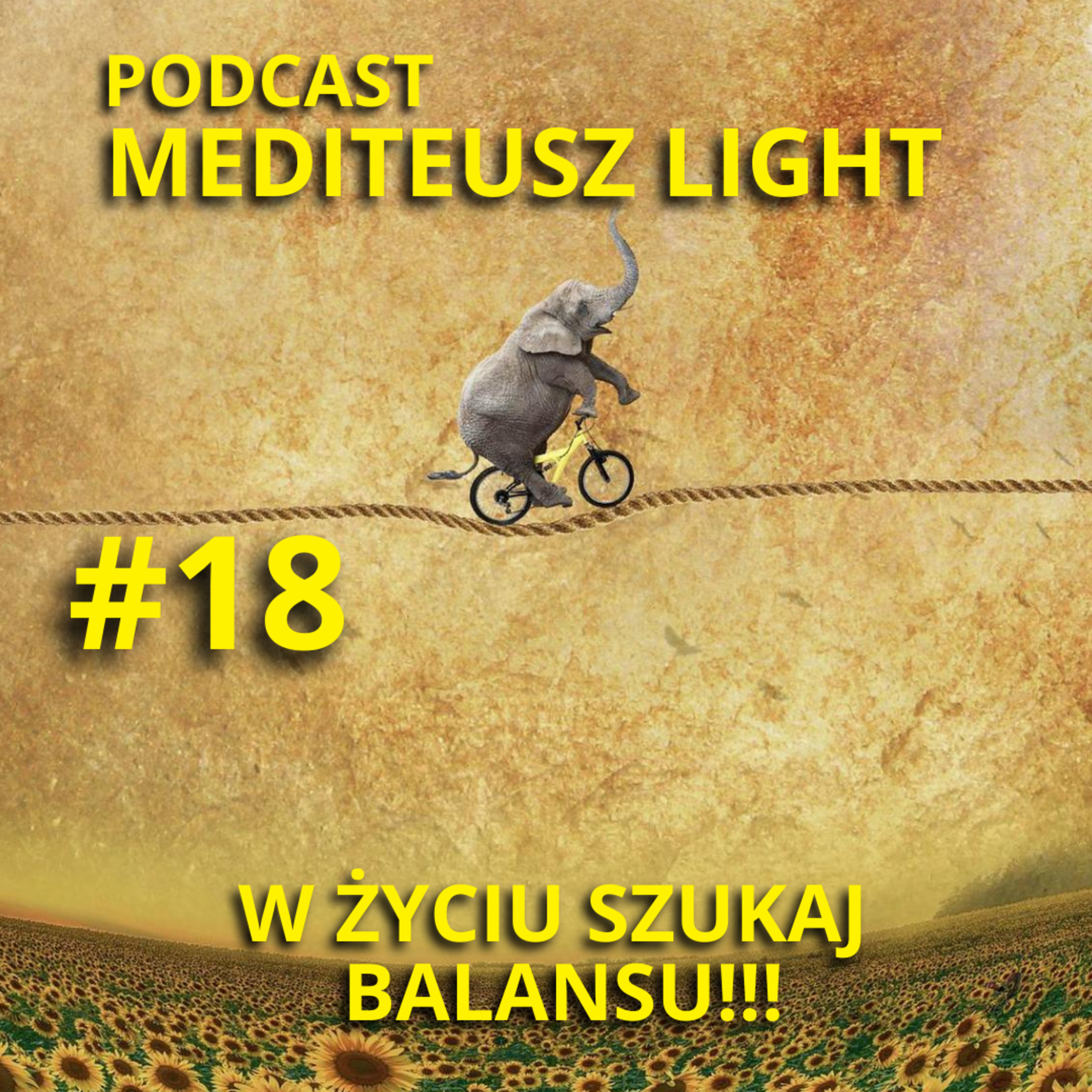 MEDITEUSZ