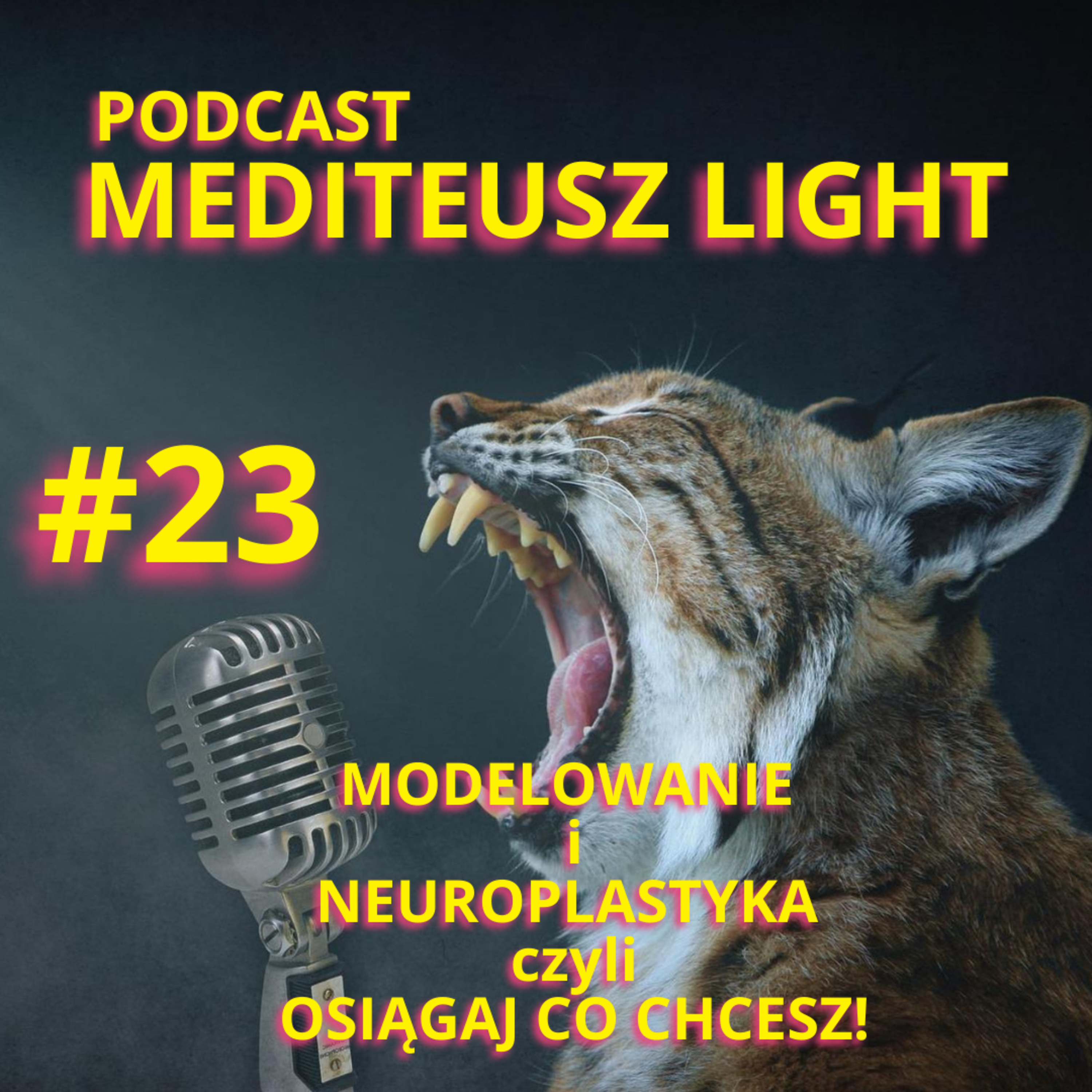 MEDITEUSZ