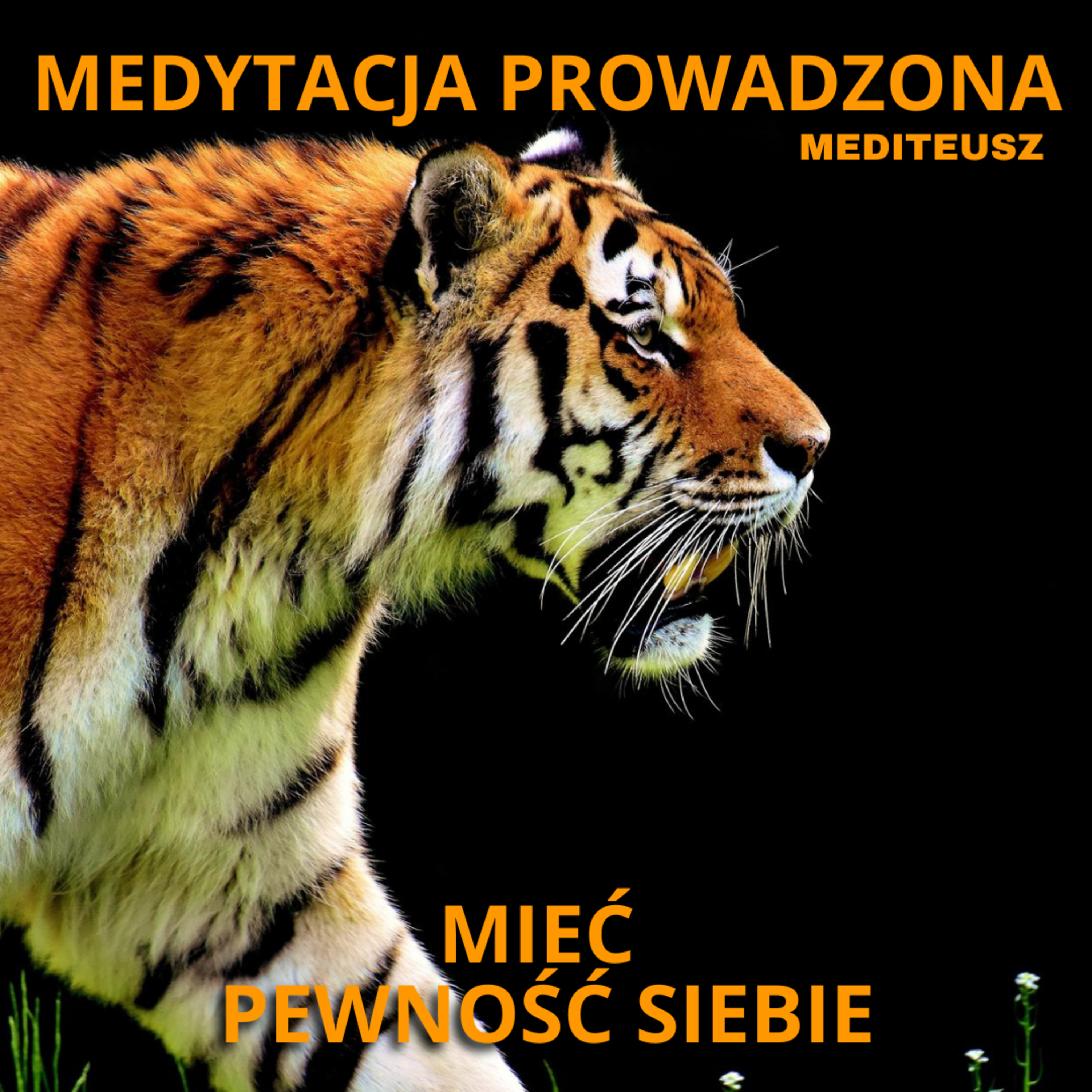 MEDITEUSZ