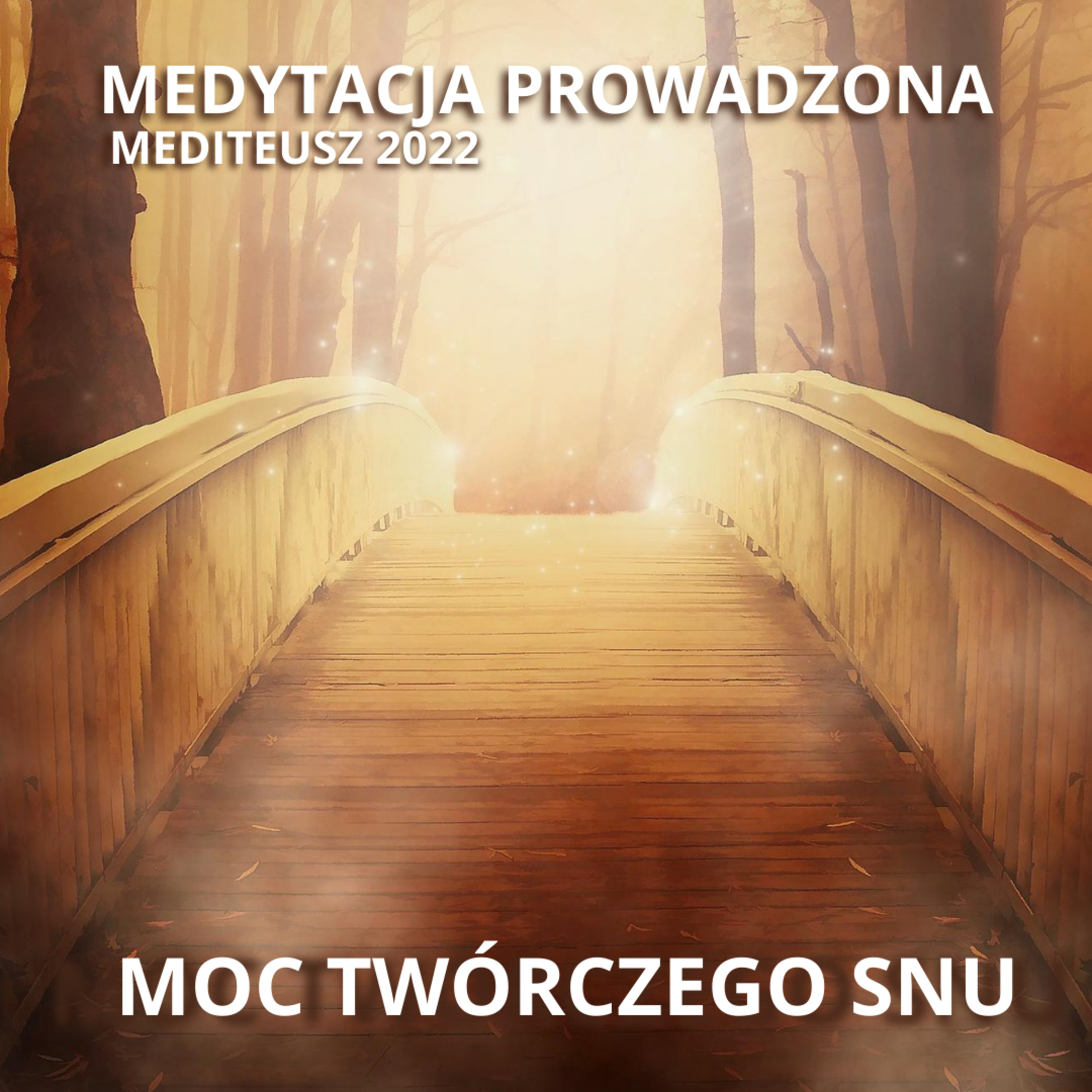MEDITEUSZ