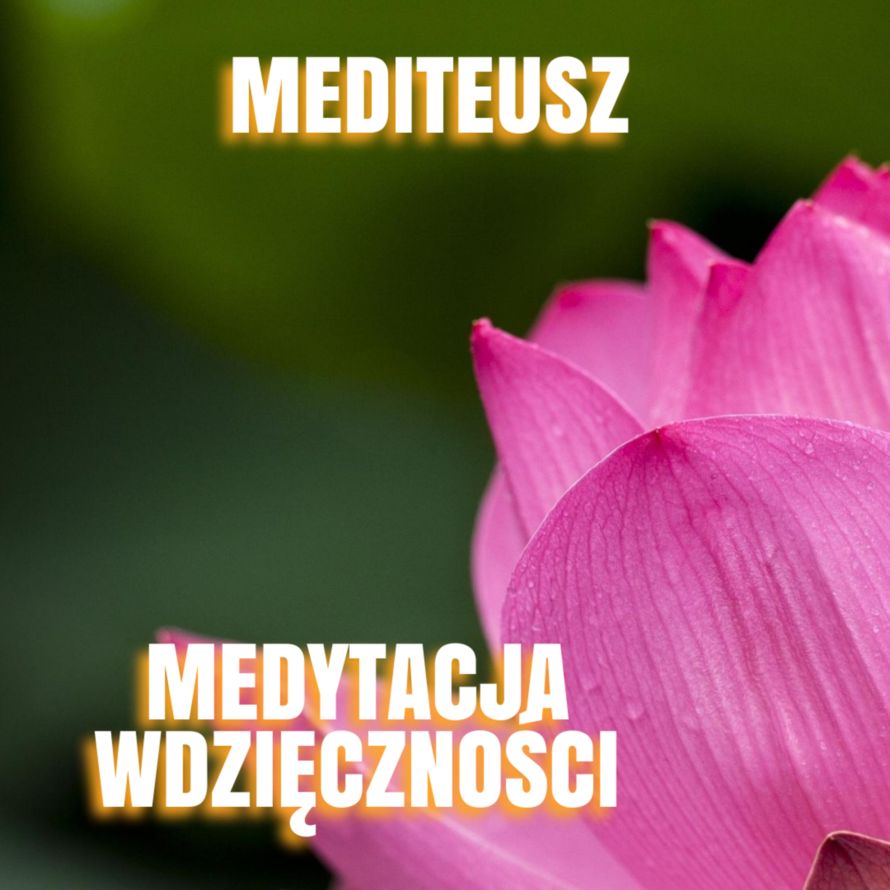 MEDITEUSZ