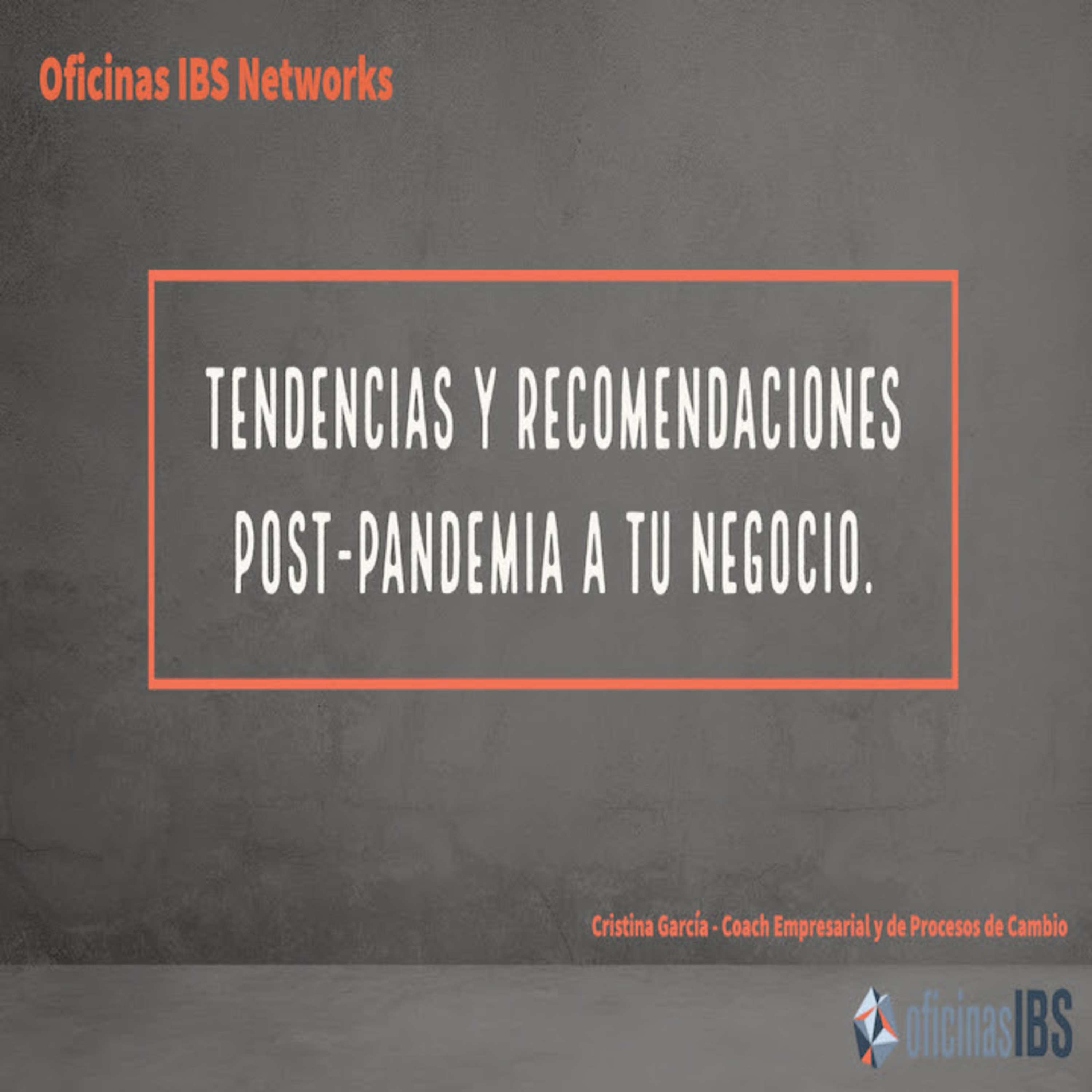 Oficinas IBS Networks