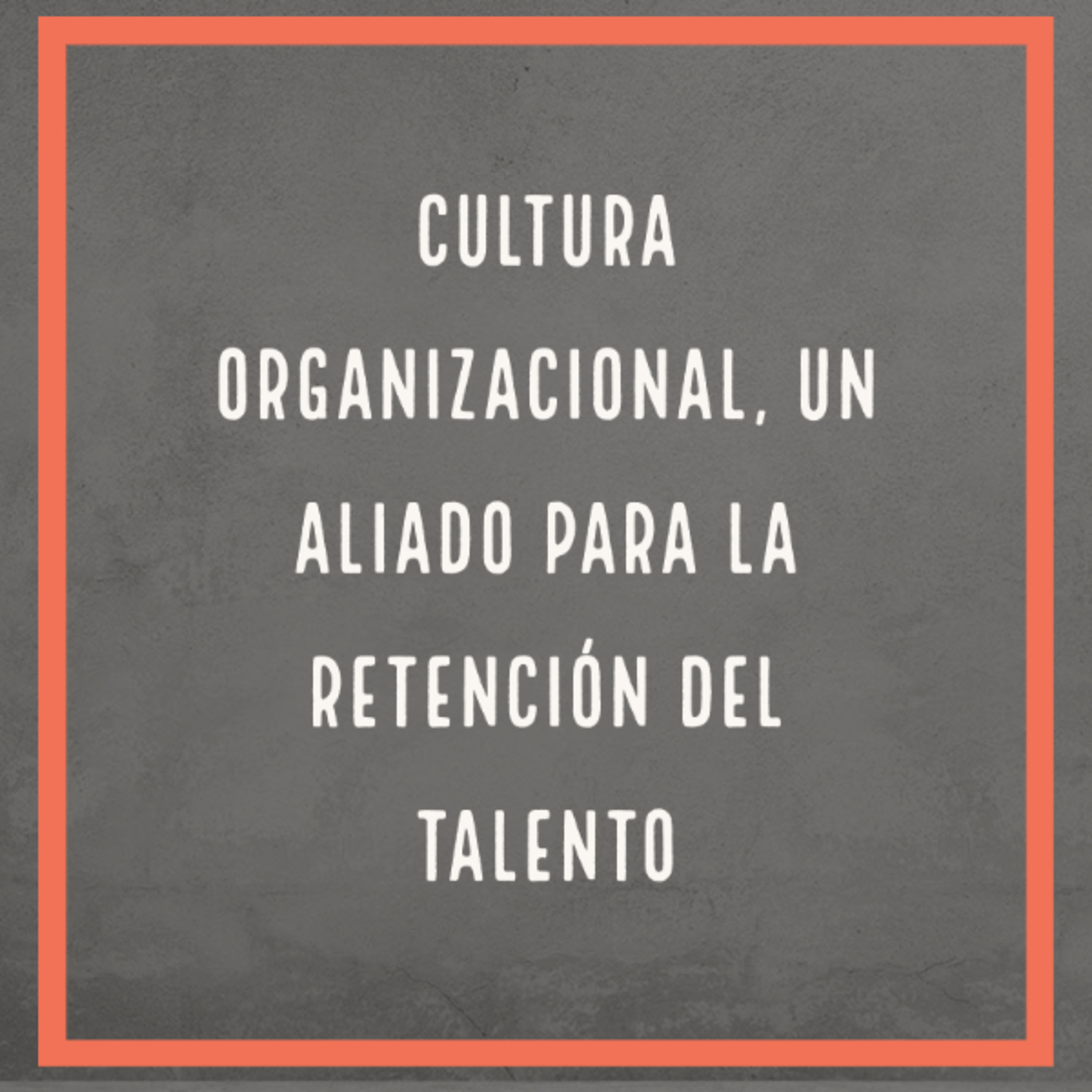 Oficinas IBS Networks