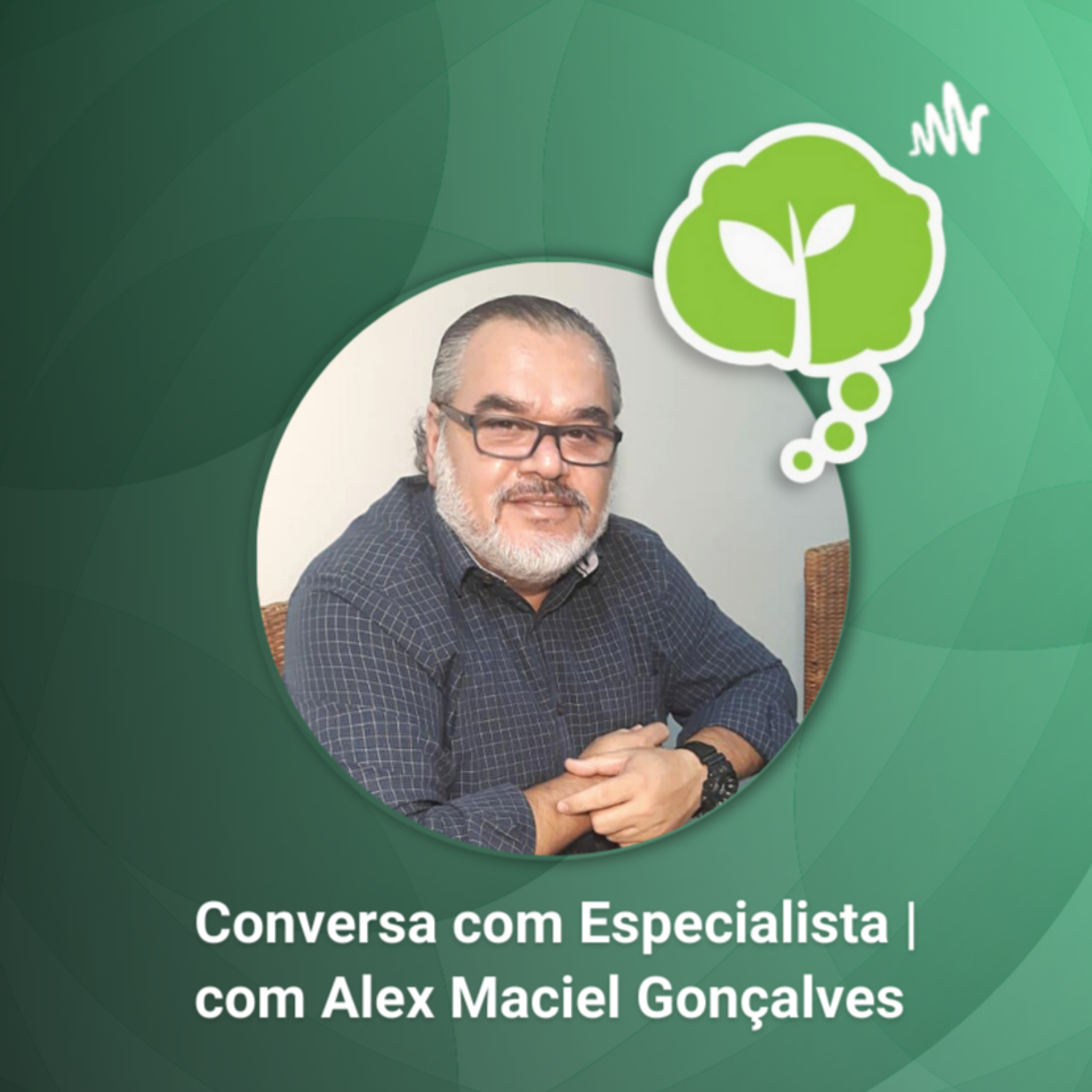 # 28 - IMPACTOS AMBIENTAIS DOS INCÊNDIOS | Conversa com especialista episode artwork