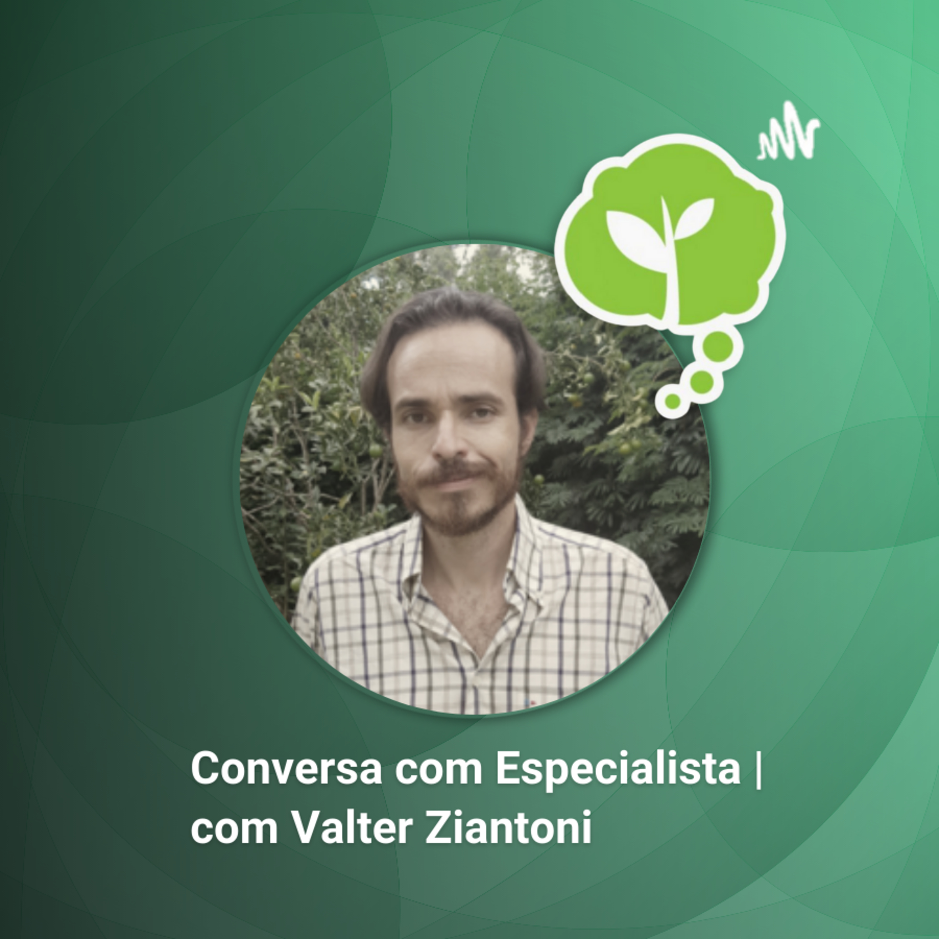 # 43 - O QUE SÃO AS AGROFLORESTAS? | Conversa com Especialista episode artwork