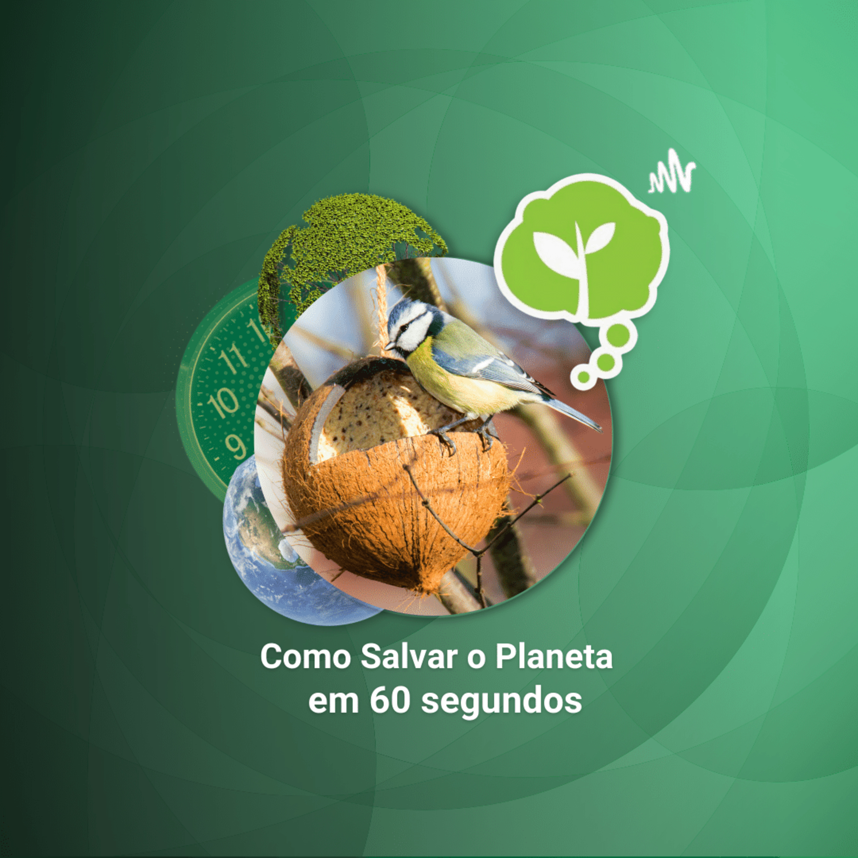 #186 - ALIMENTE OS PÁSSAROS | Como Salvar o Planeta em 60 Segundos episode artwork