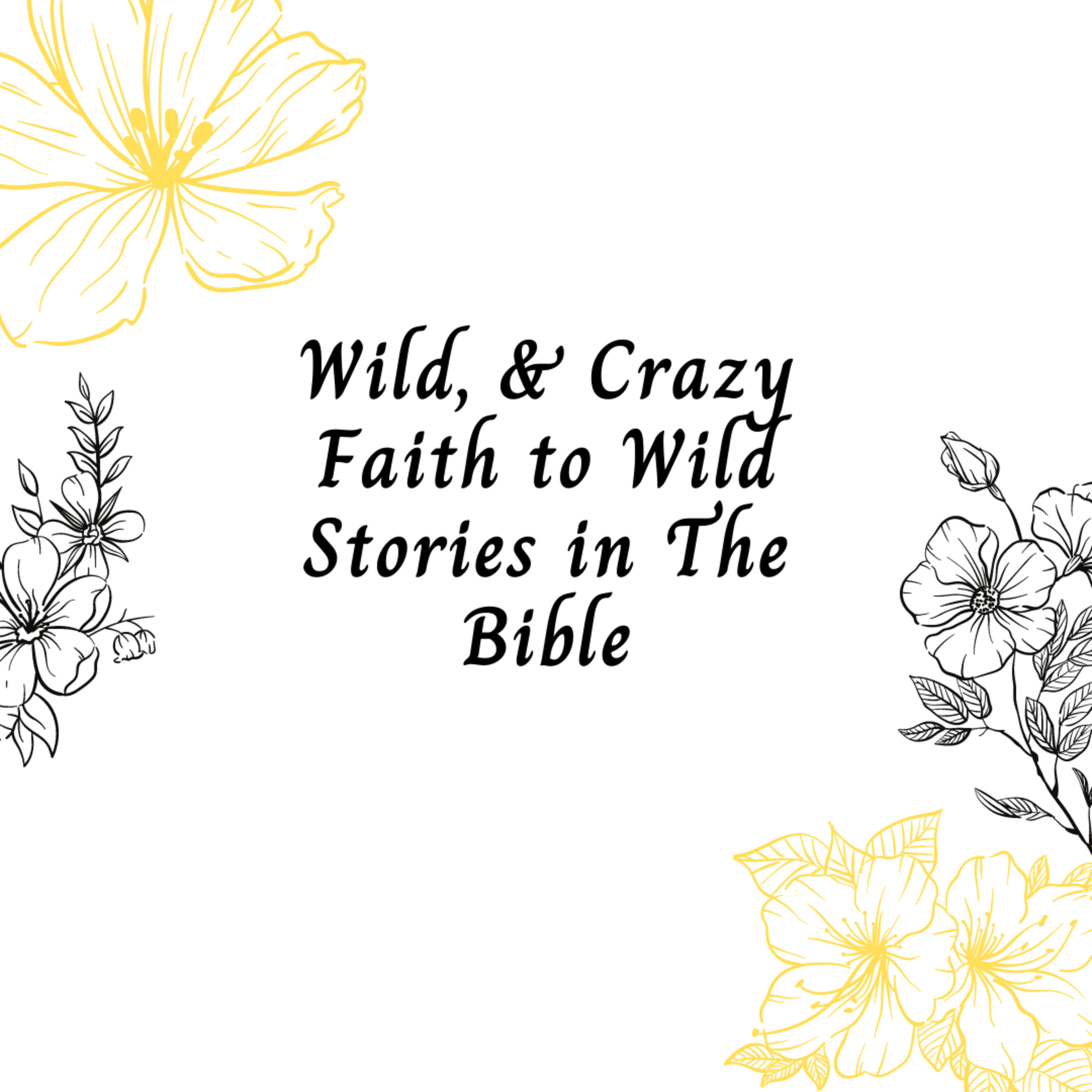 Wild Crazy Faith & Wild Stories in the Bible