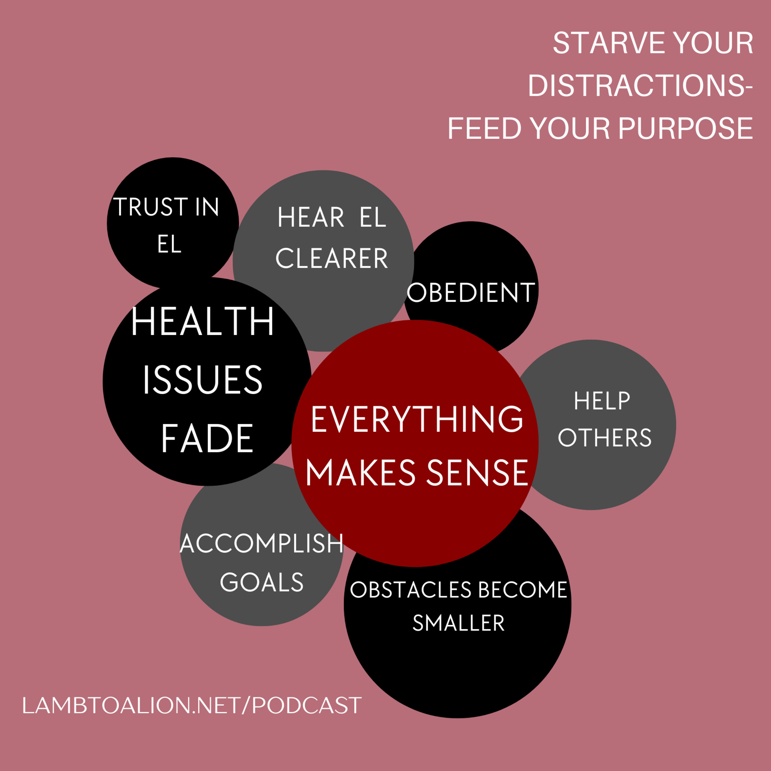 Starve Your Distractions- Feed Your Purpose episode artwork