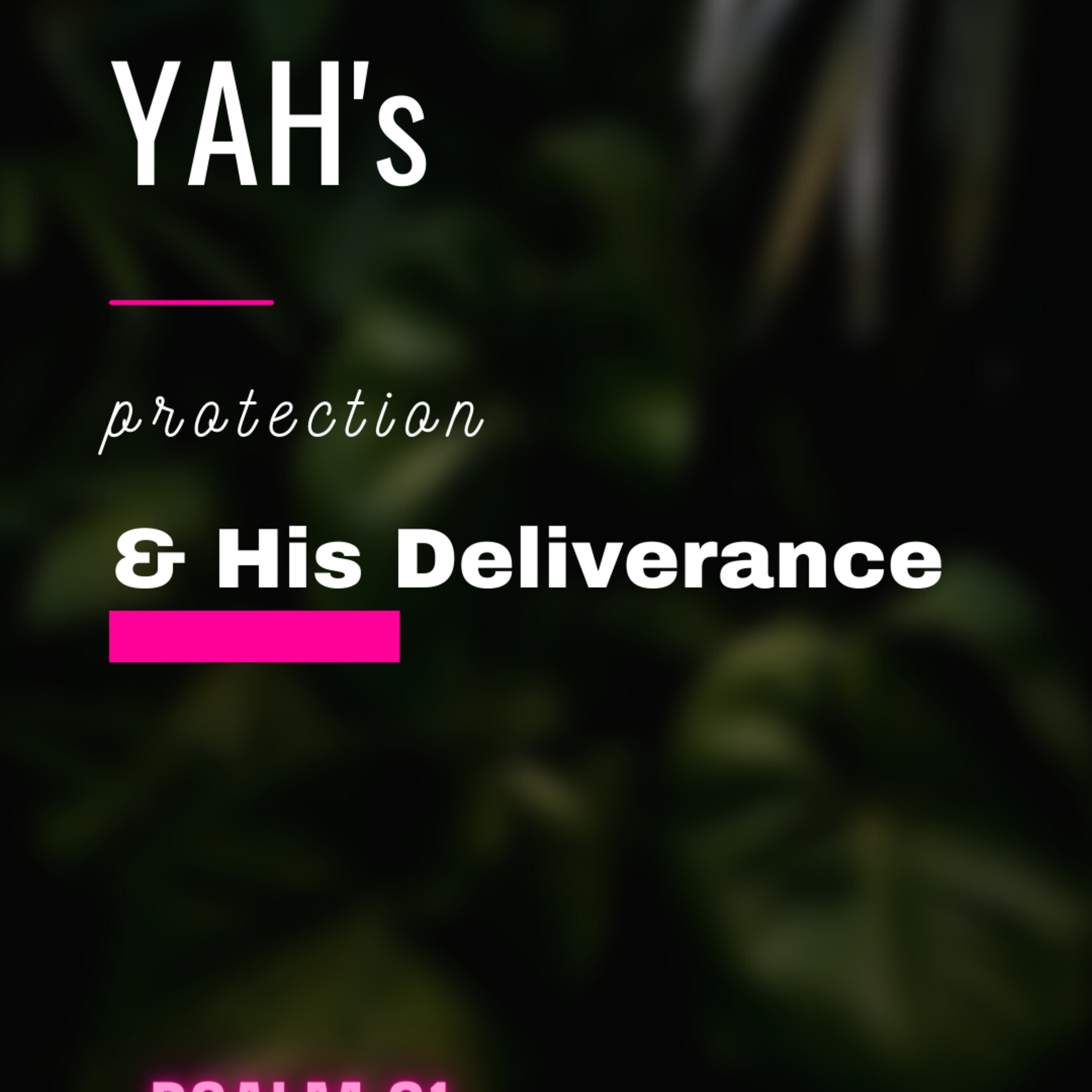 YAH's Protection & His Deliverance  episode artwork