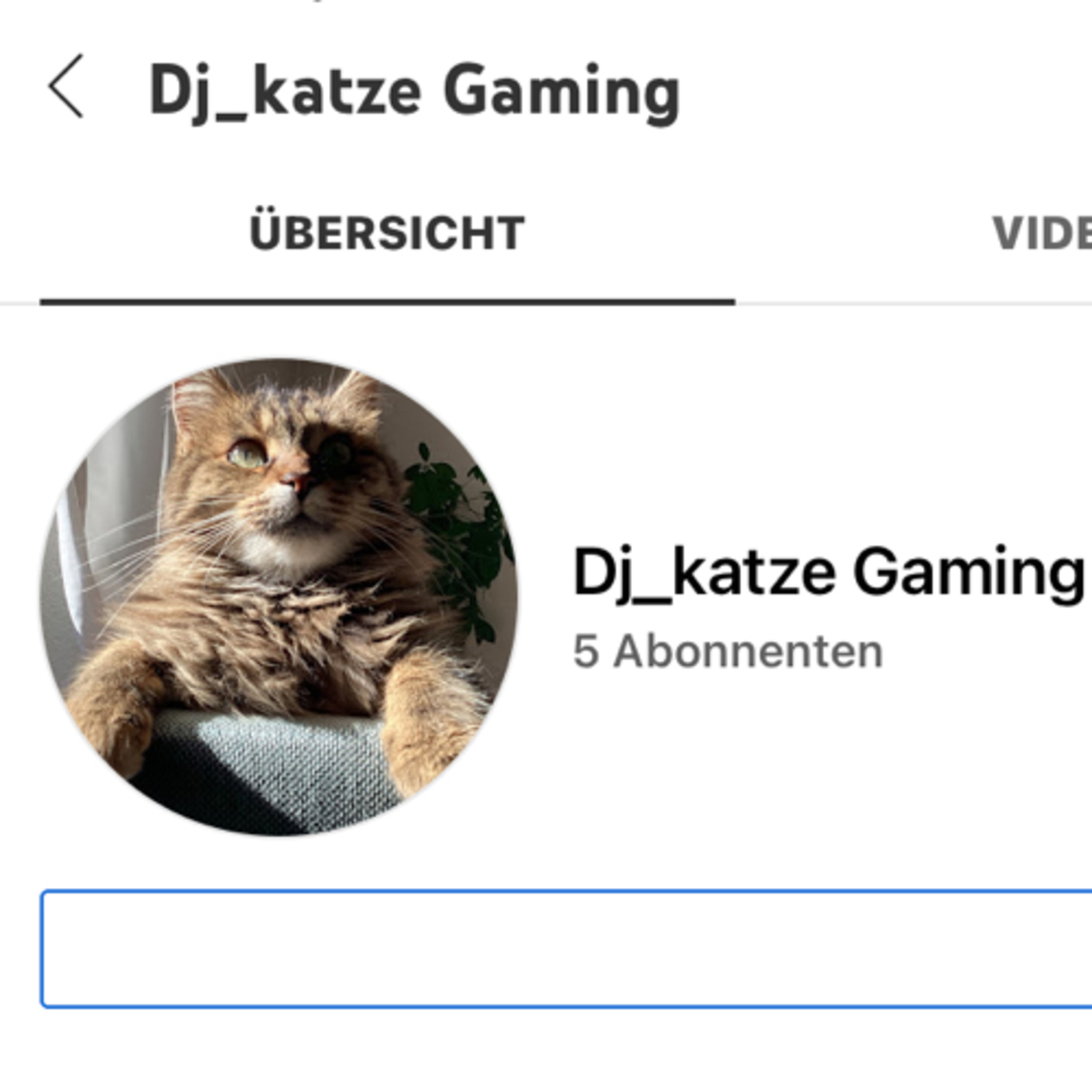 😺DJ_Katzes_allesmögliche_Cast😺