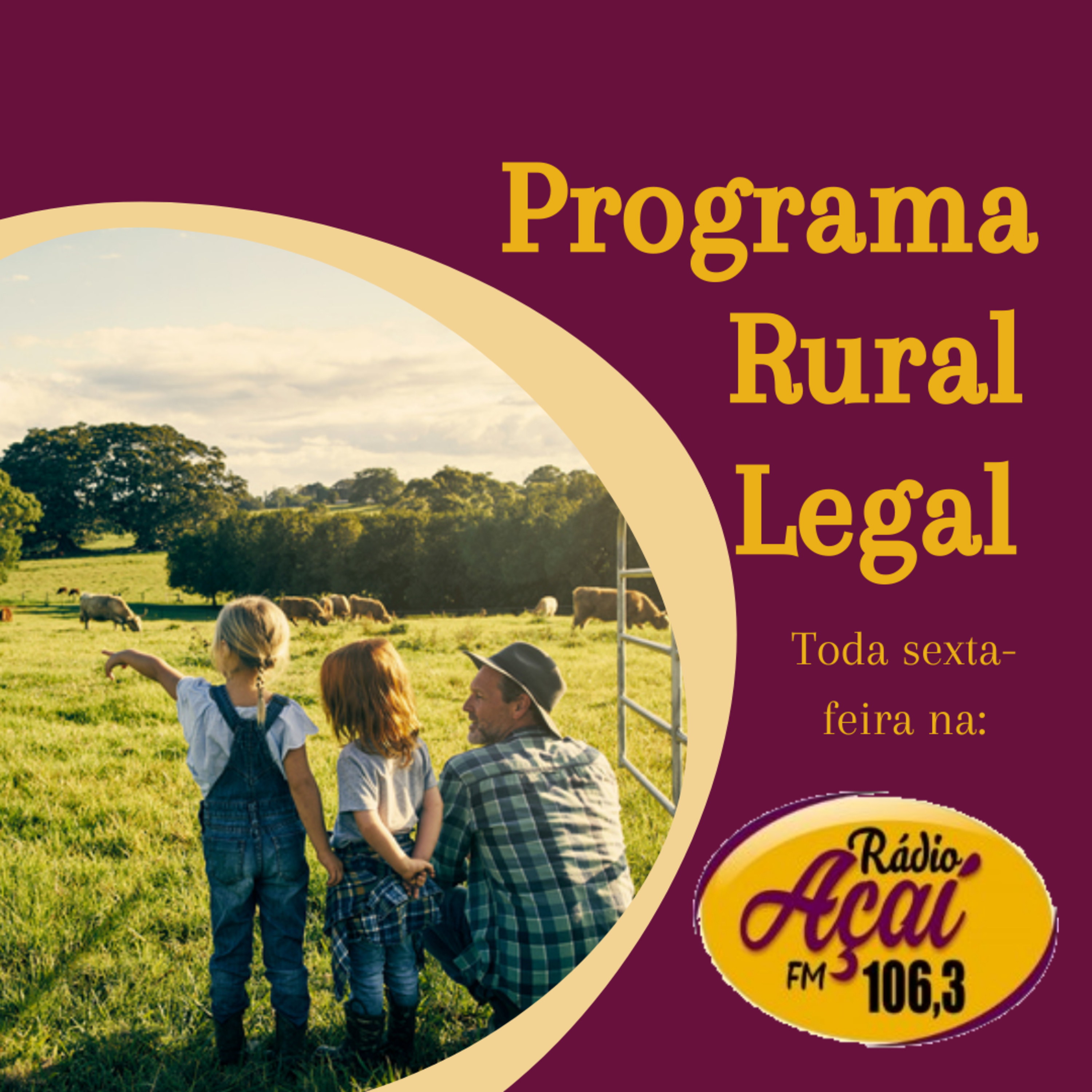 Meus podcasts