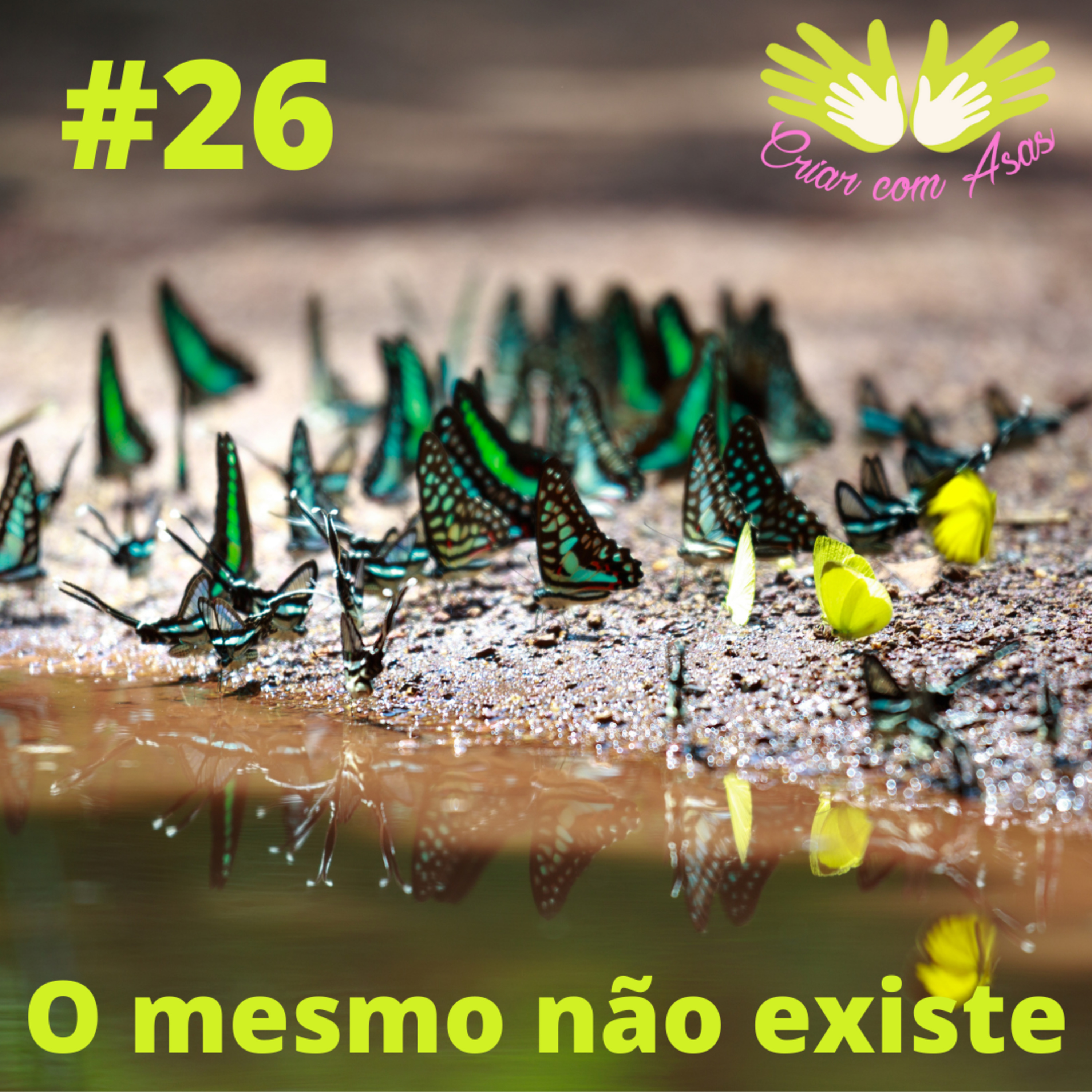 Criar com Asas