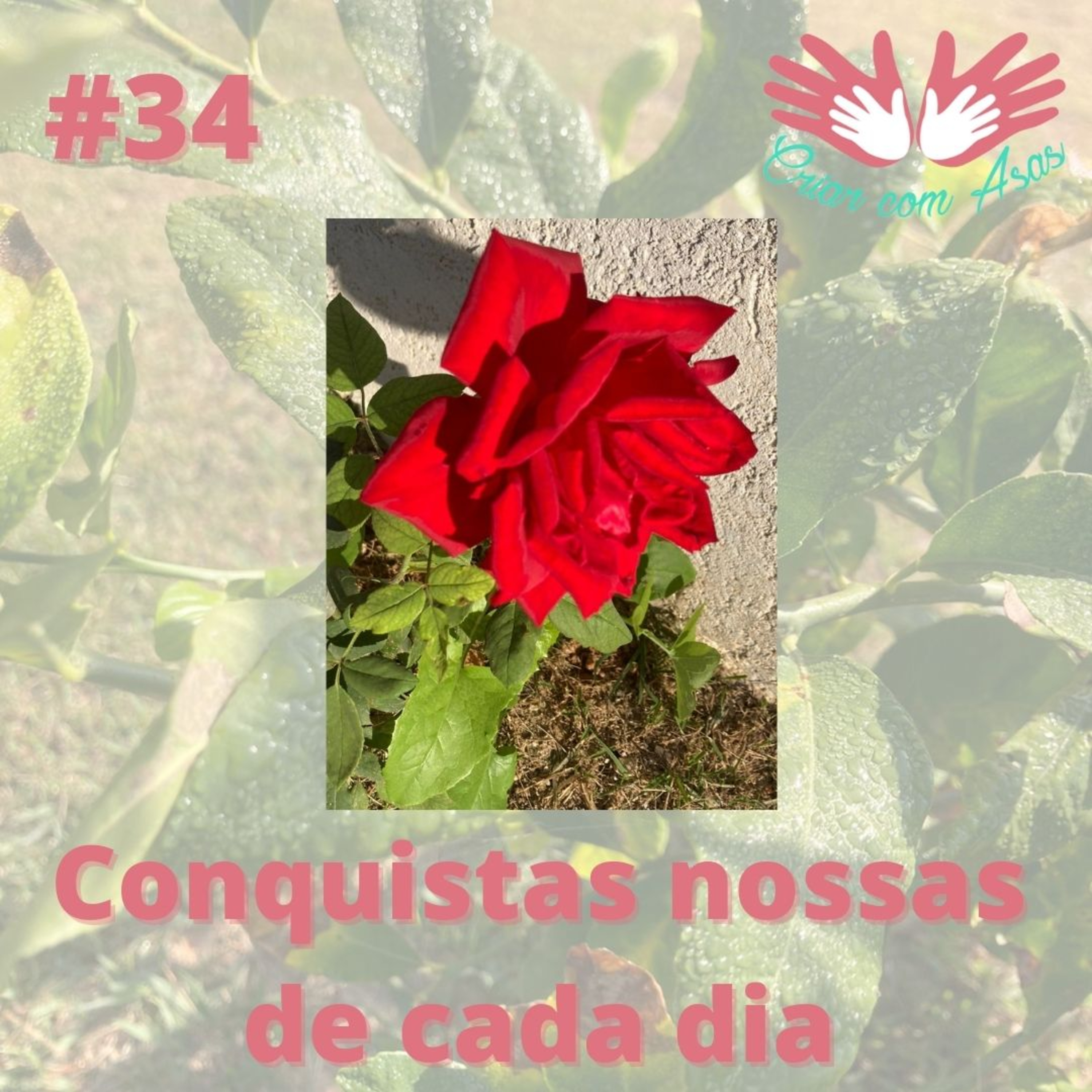Criar com Asas