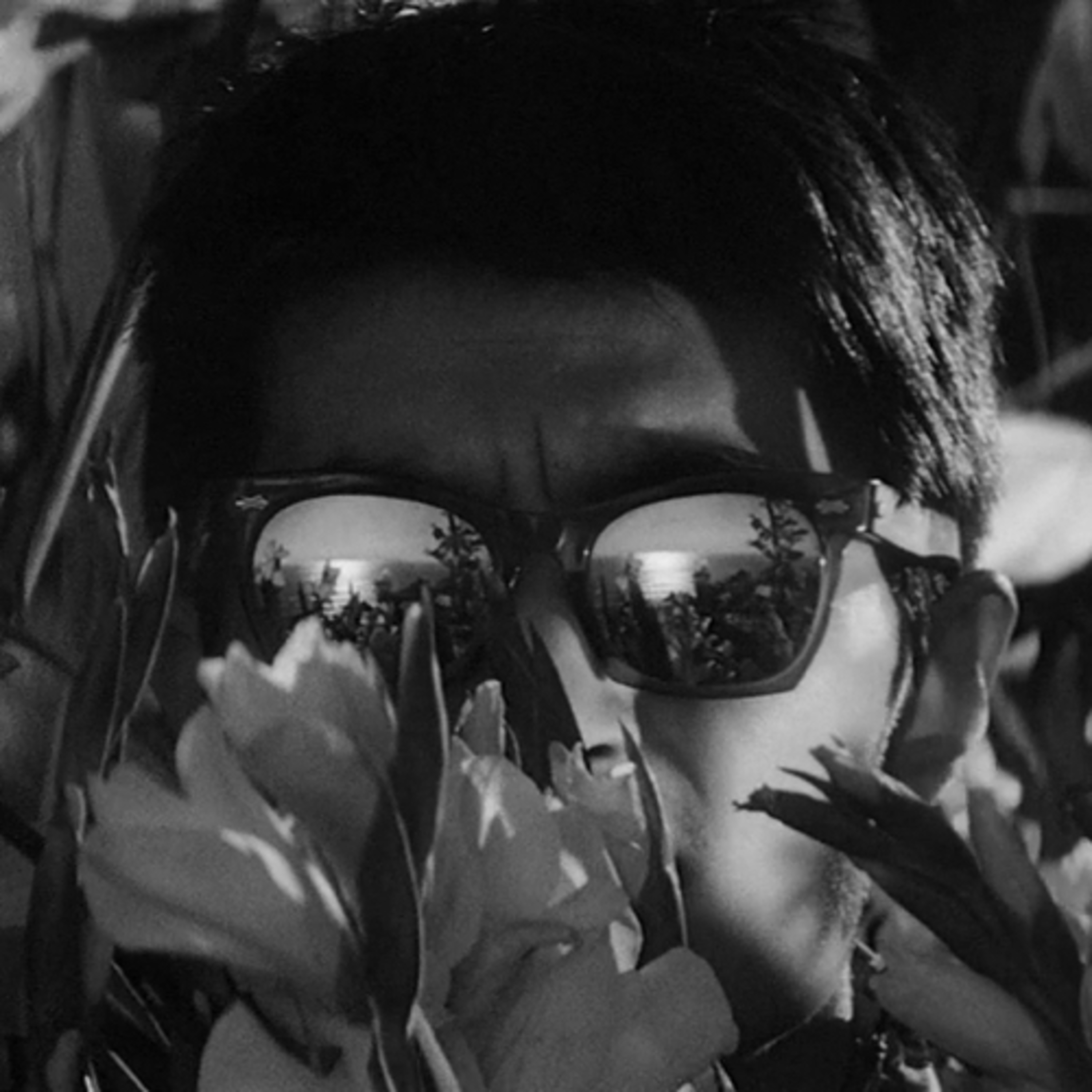 Long Day\'s Journey Into Film