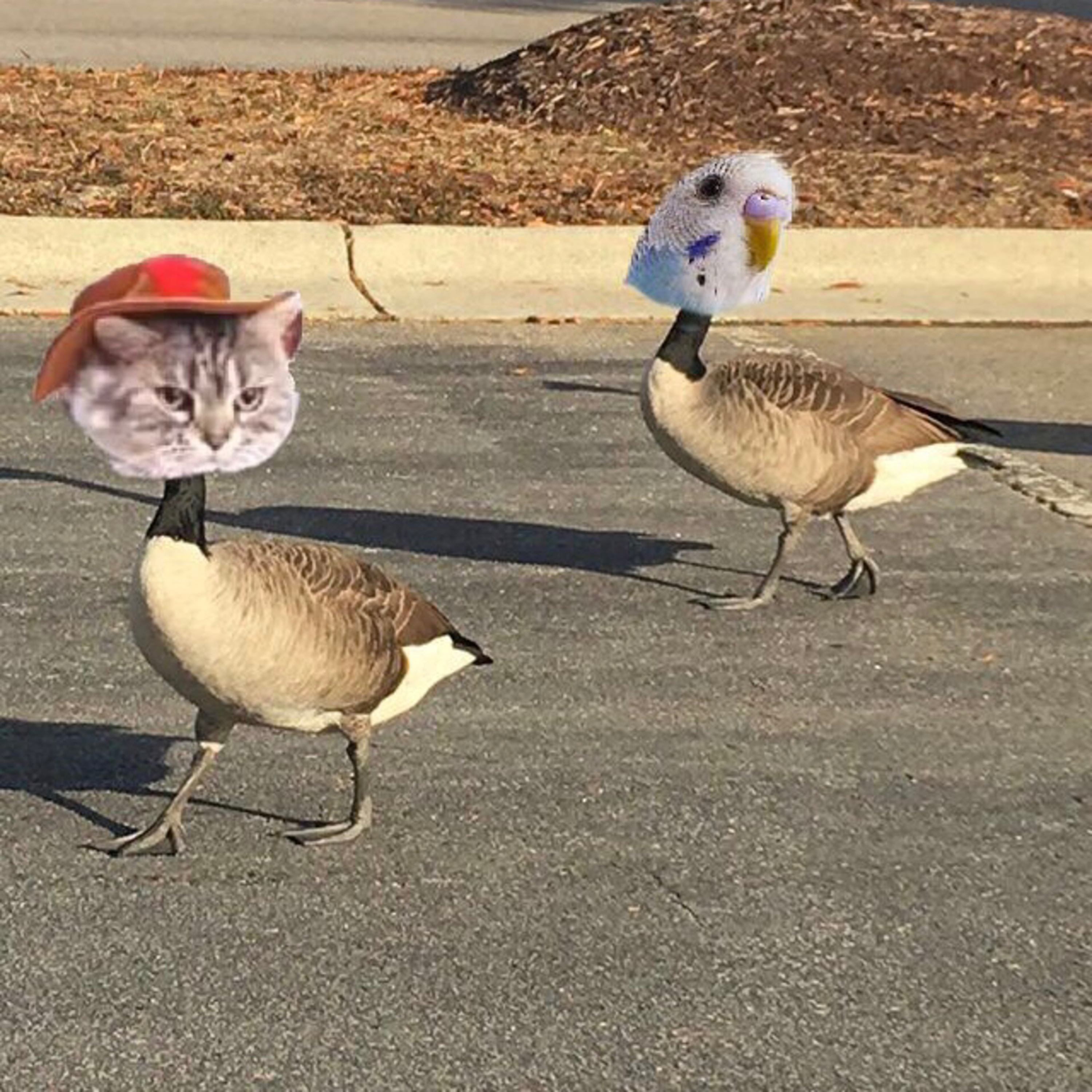 We know we are squeakers so lay off plz