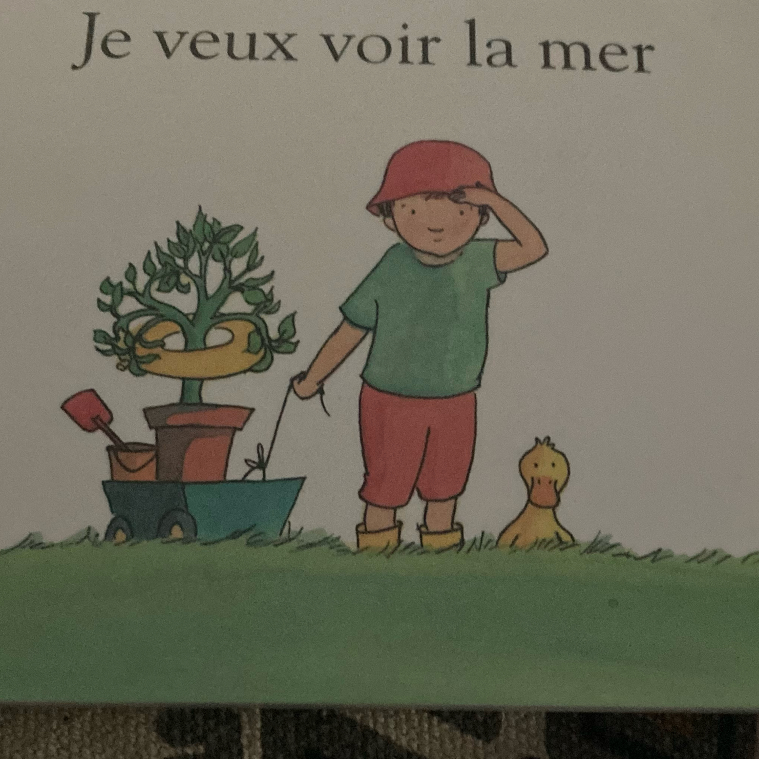 Boulevard des livres