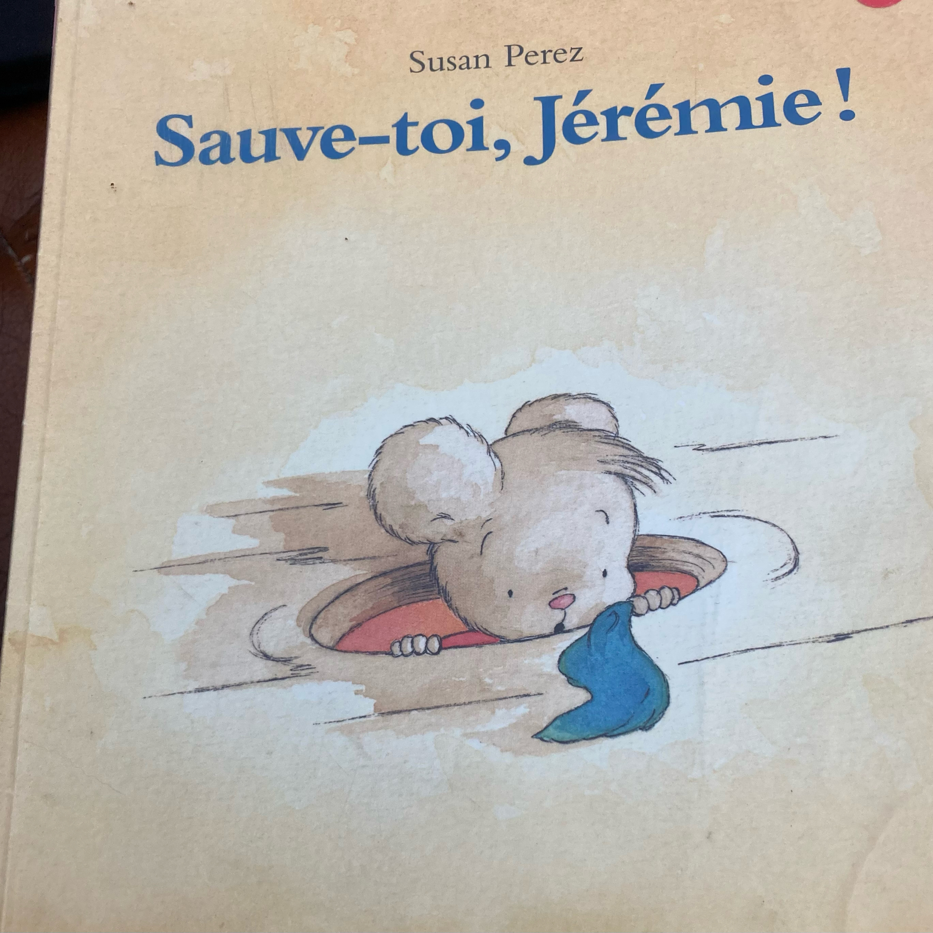 Boulevard des livres