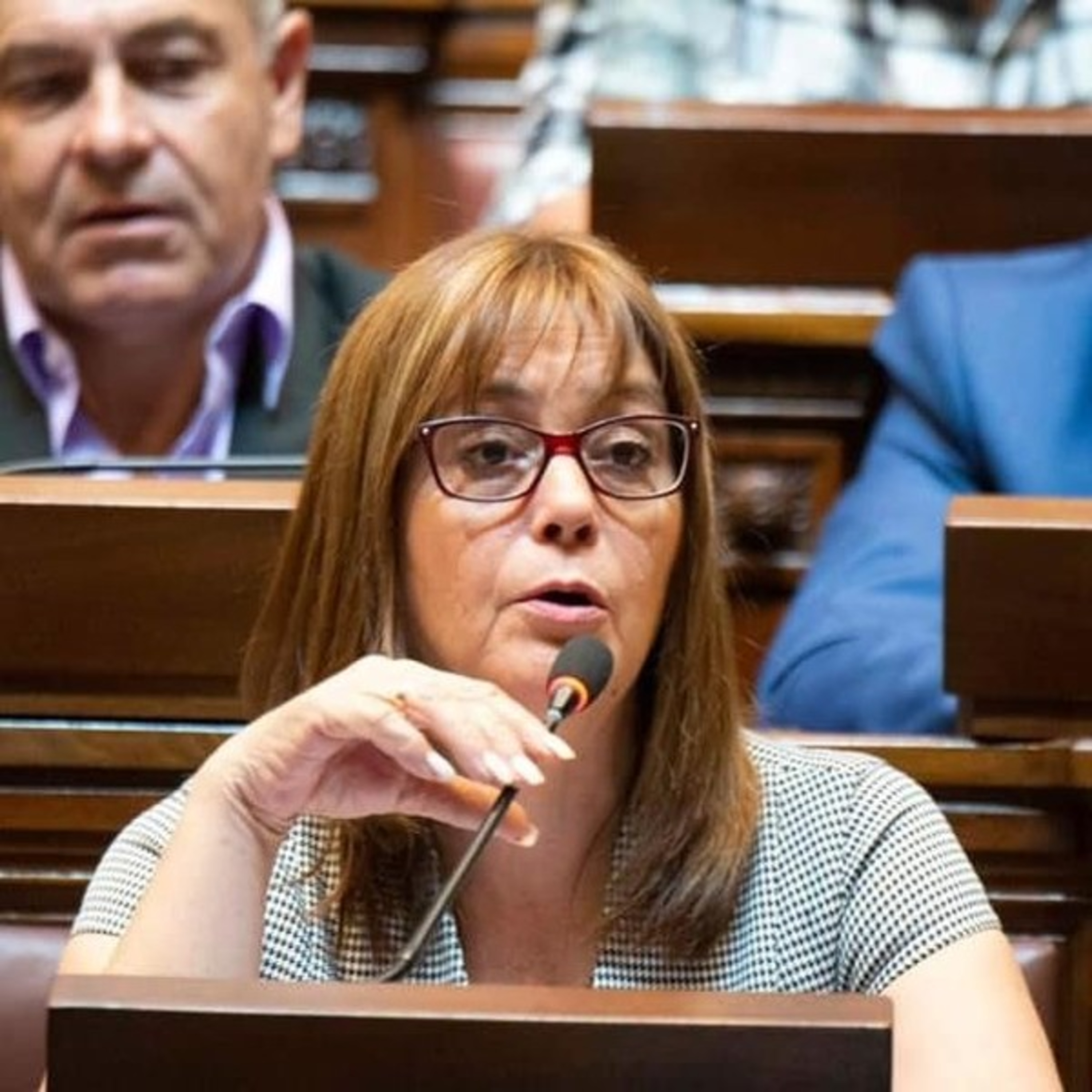 Los Caminos de Berna