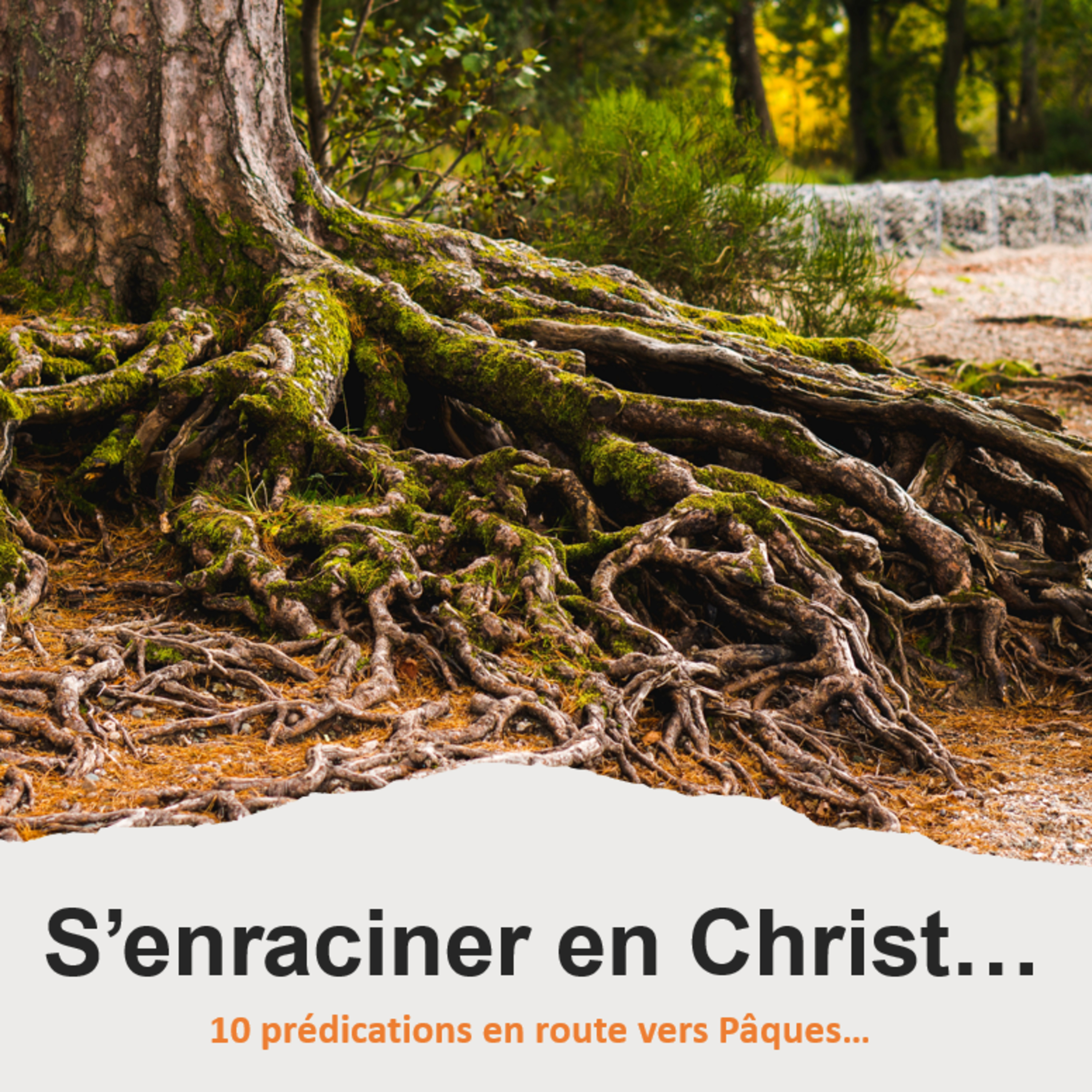 Eglise Protestante Evangélique de Wavre - EPEW