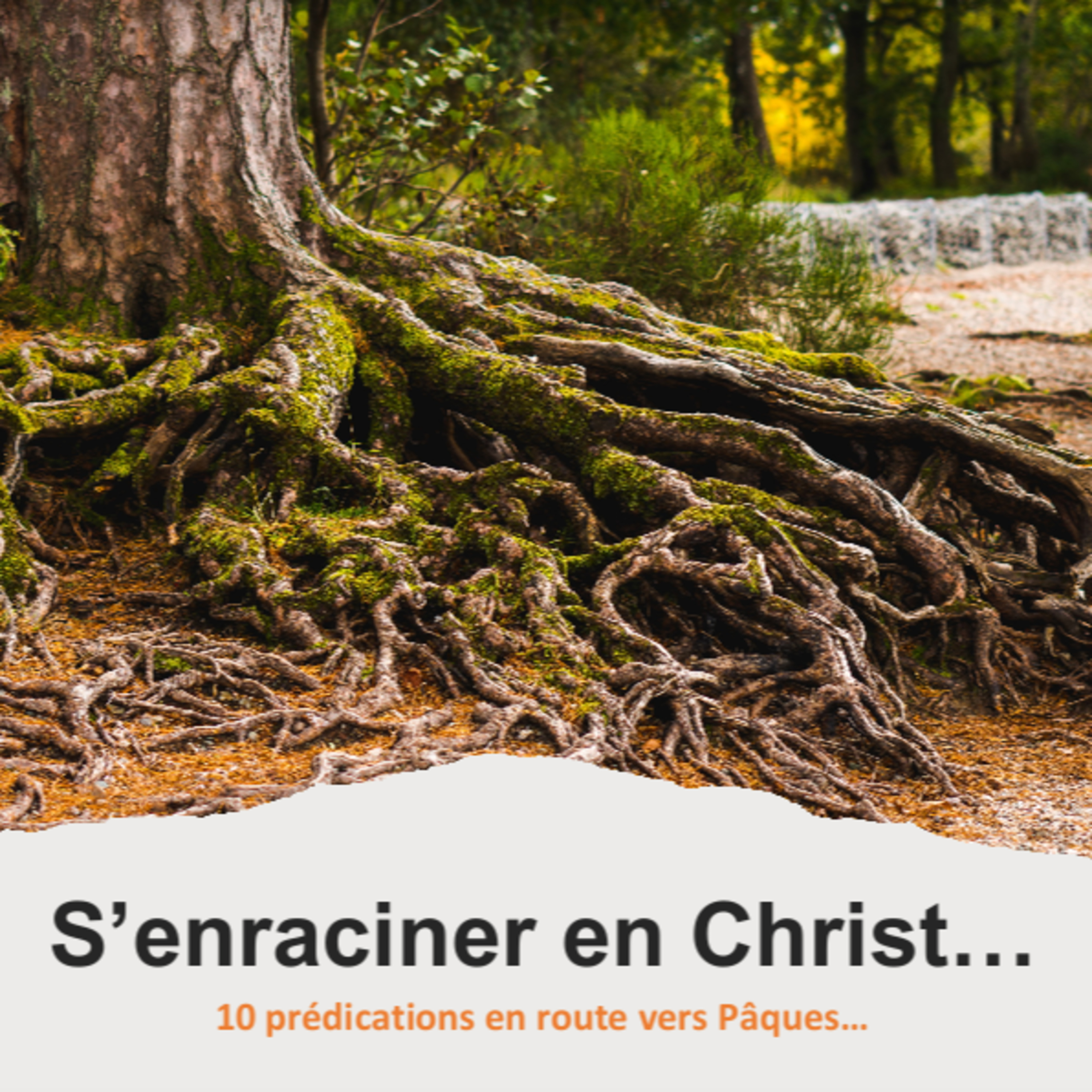 Eglise Protestante Evangélique de Wavre - EPEW