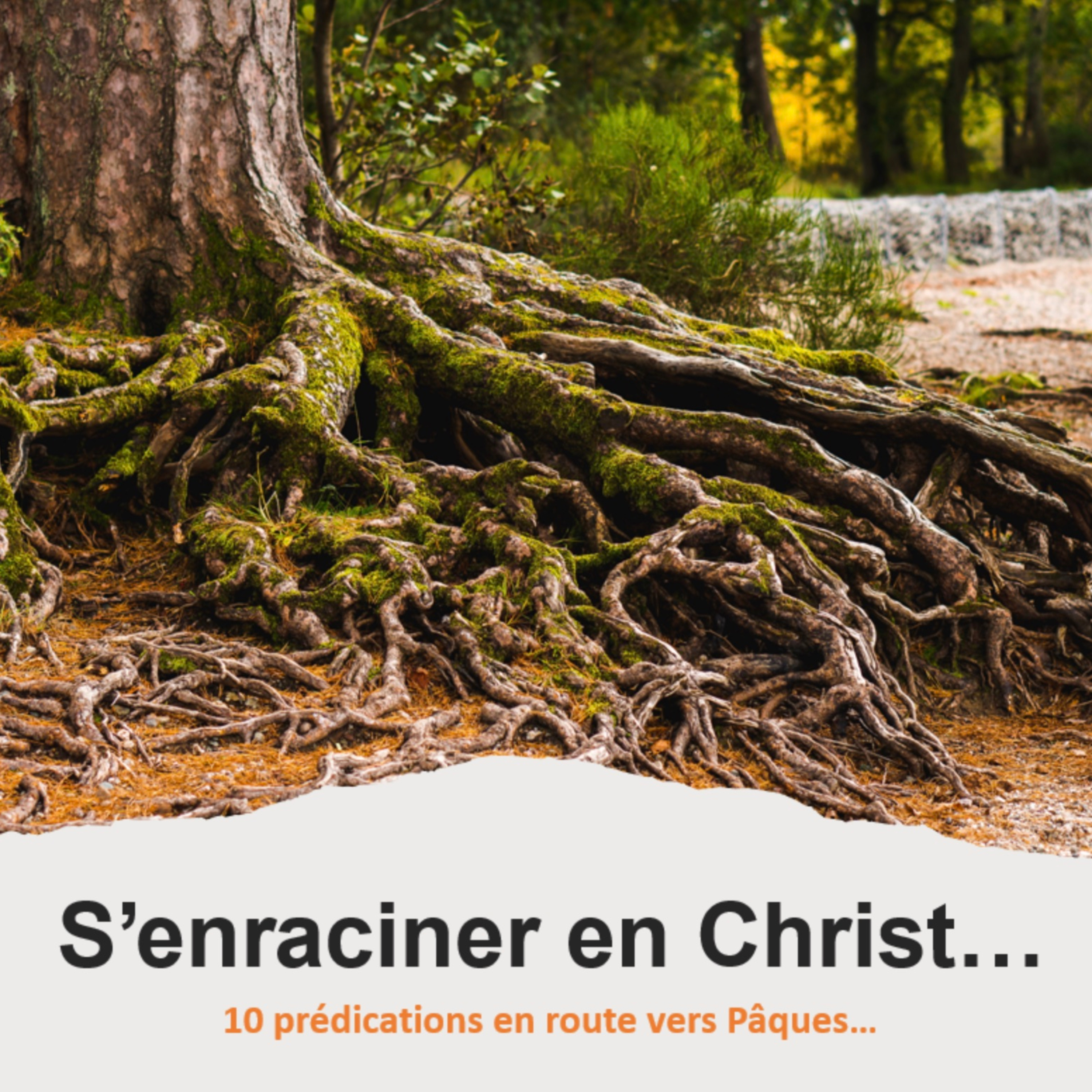 Eglise Protestante Evangélique de Wavre - EPEW