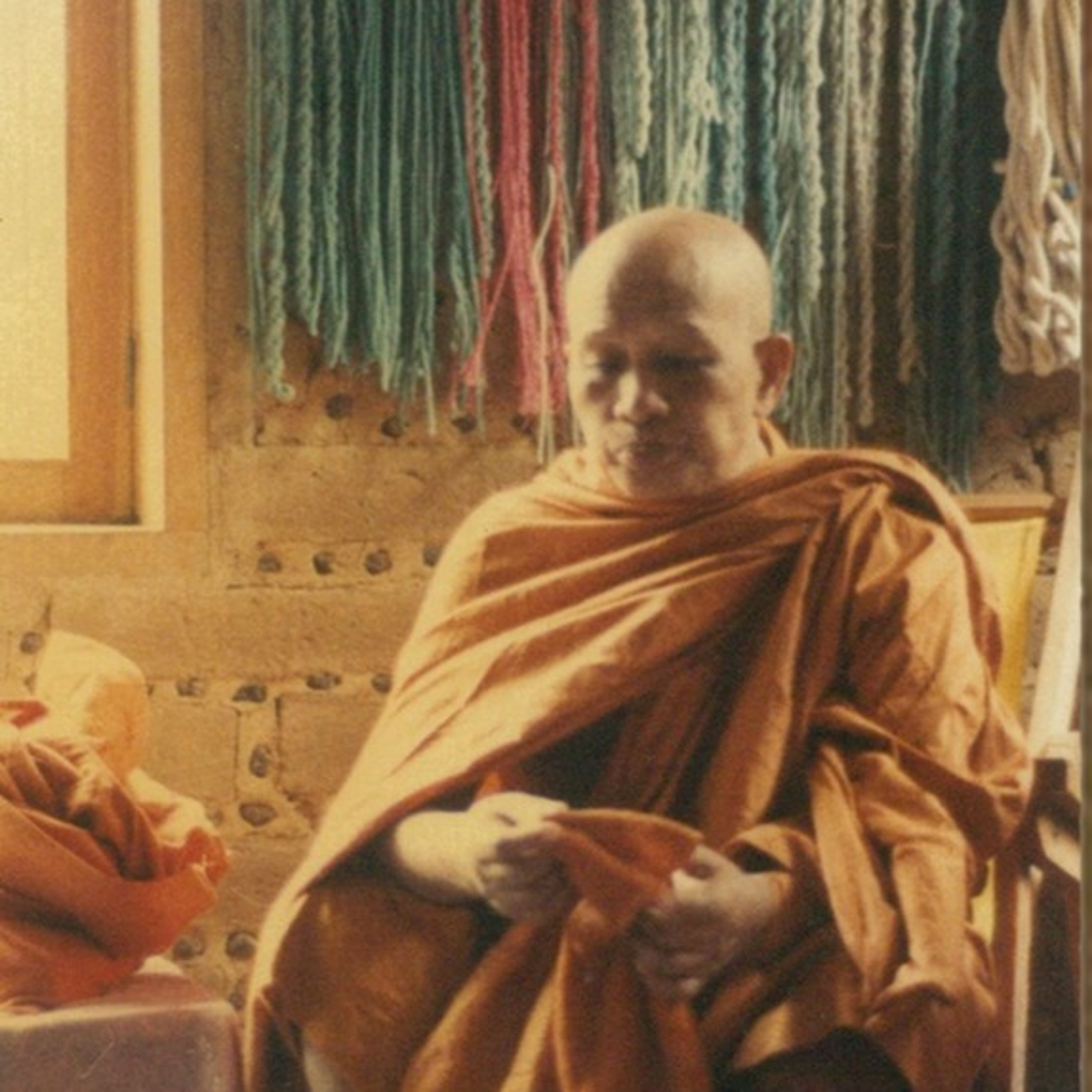 คำว่าหนอกับการปฏิบัติธรรม episode artwork