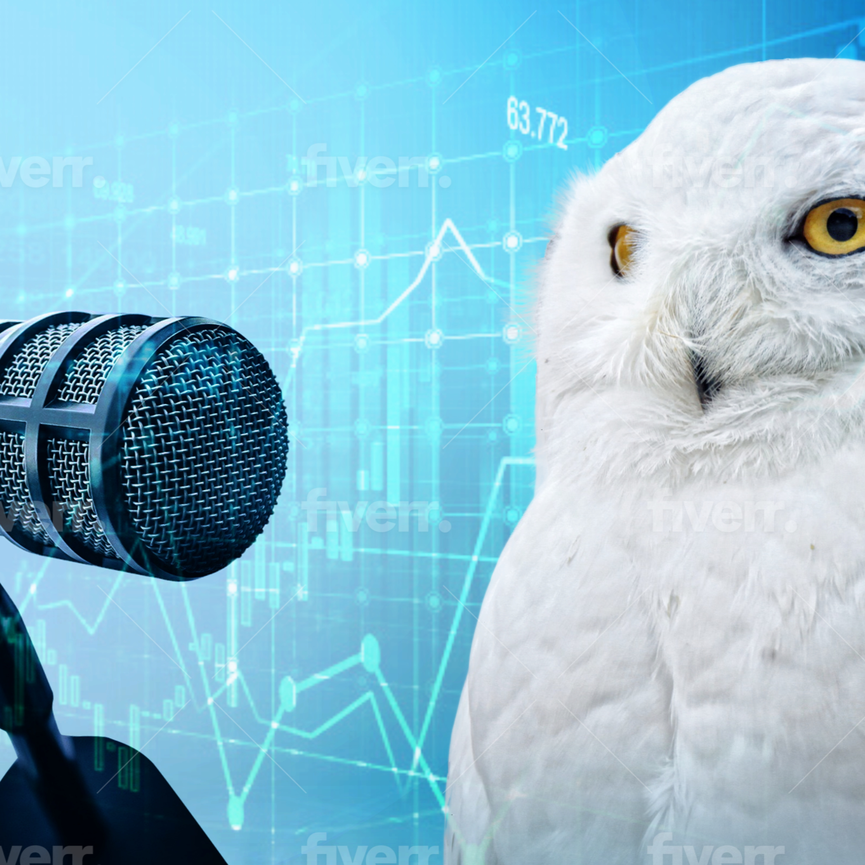 WISE Financial Strategies