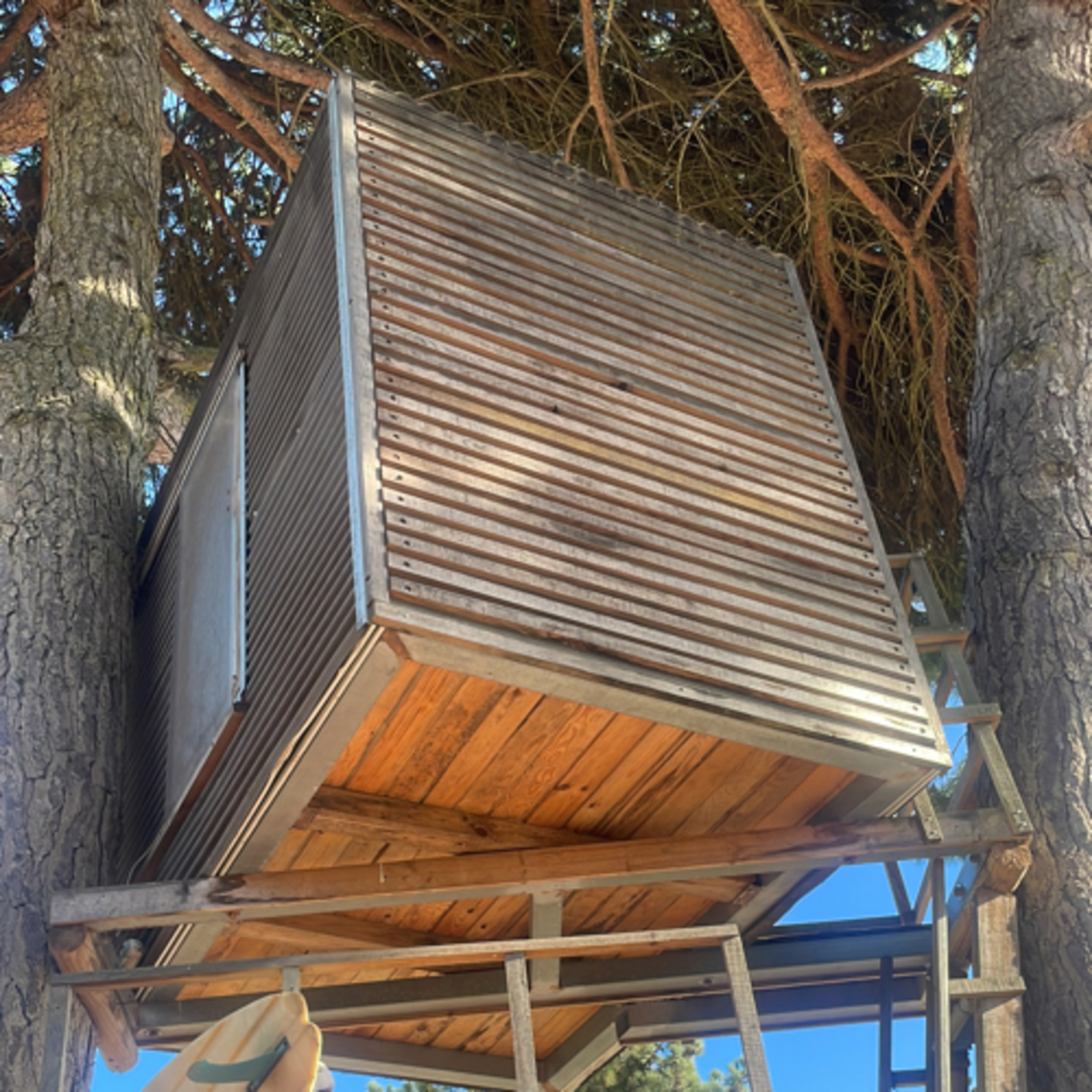 Ich übernachte in einem Baumhaus in Meco - Portugal #72 episode artwork