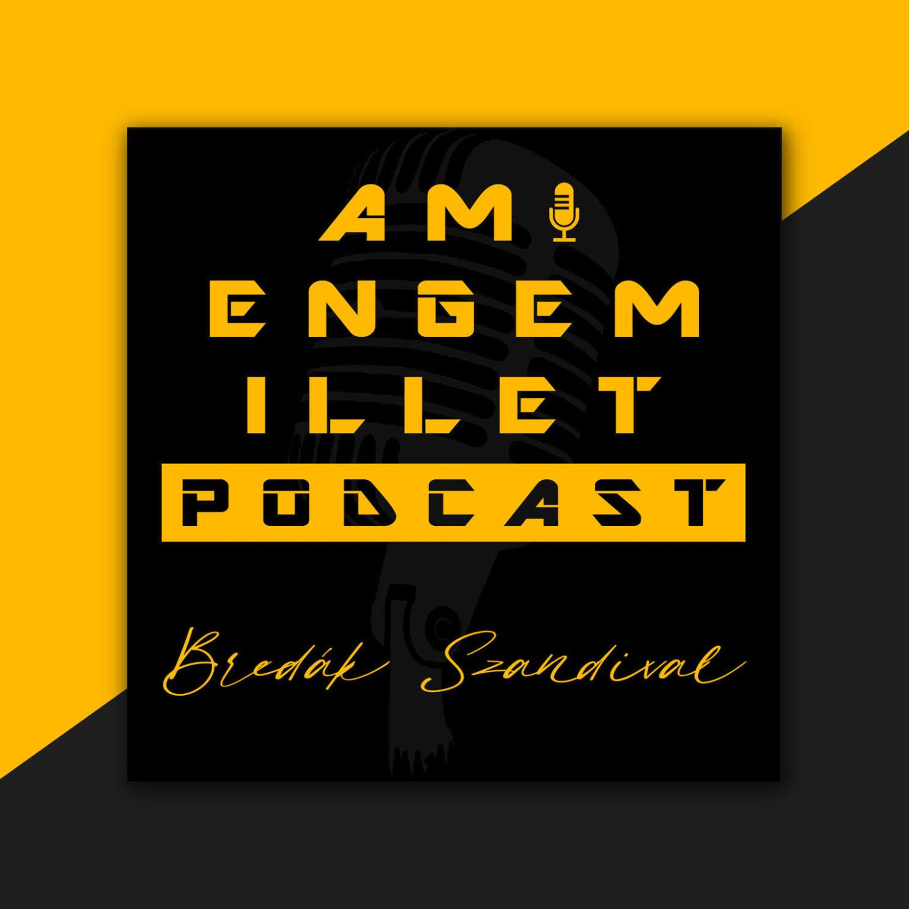 Ami Engem Illet