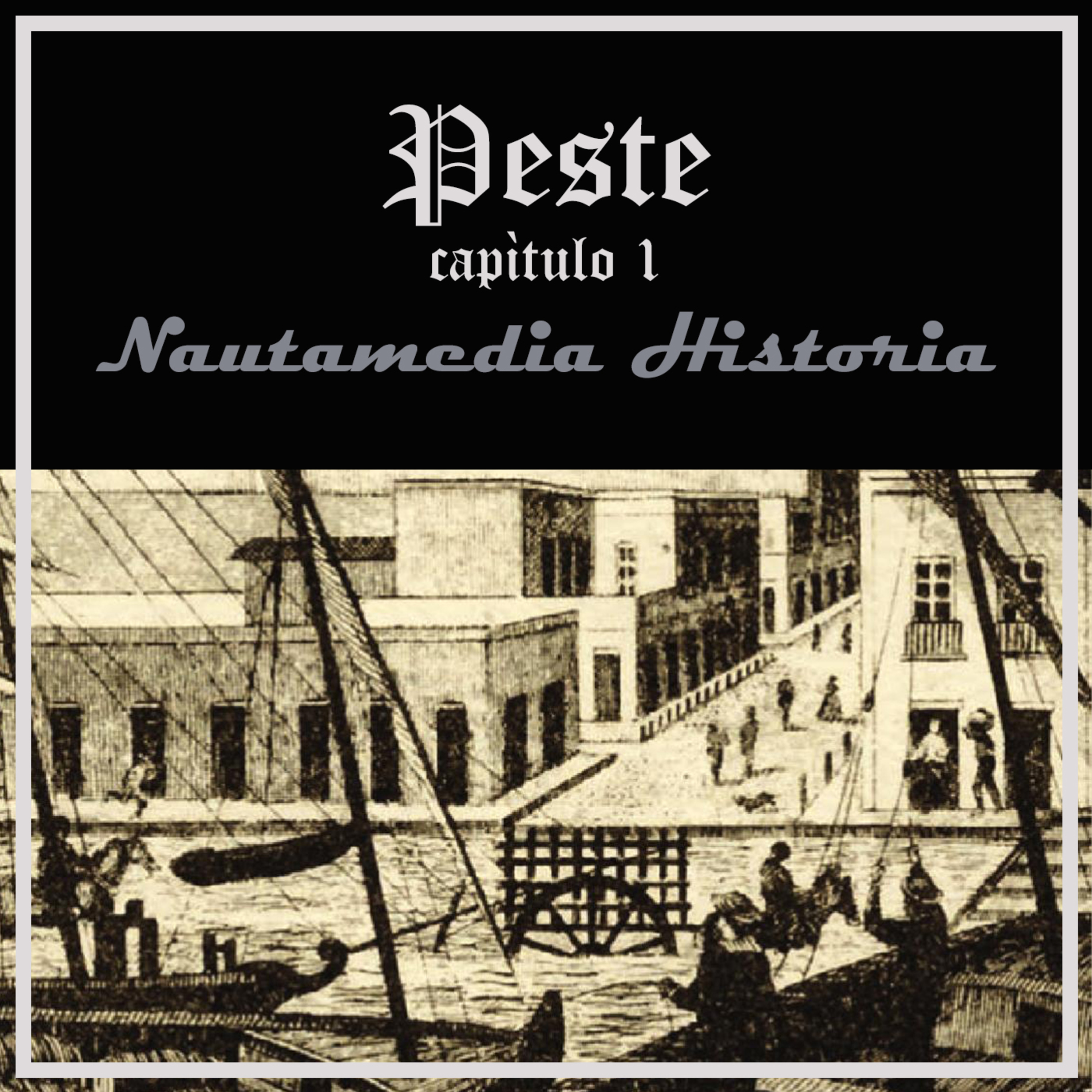 Nautamedia Historia