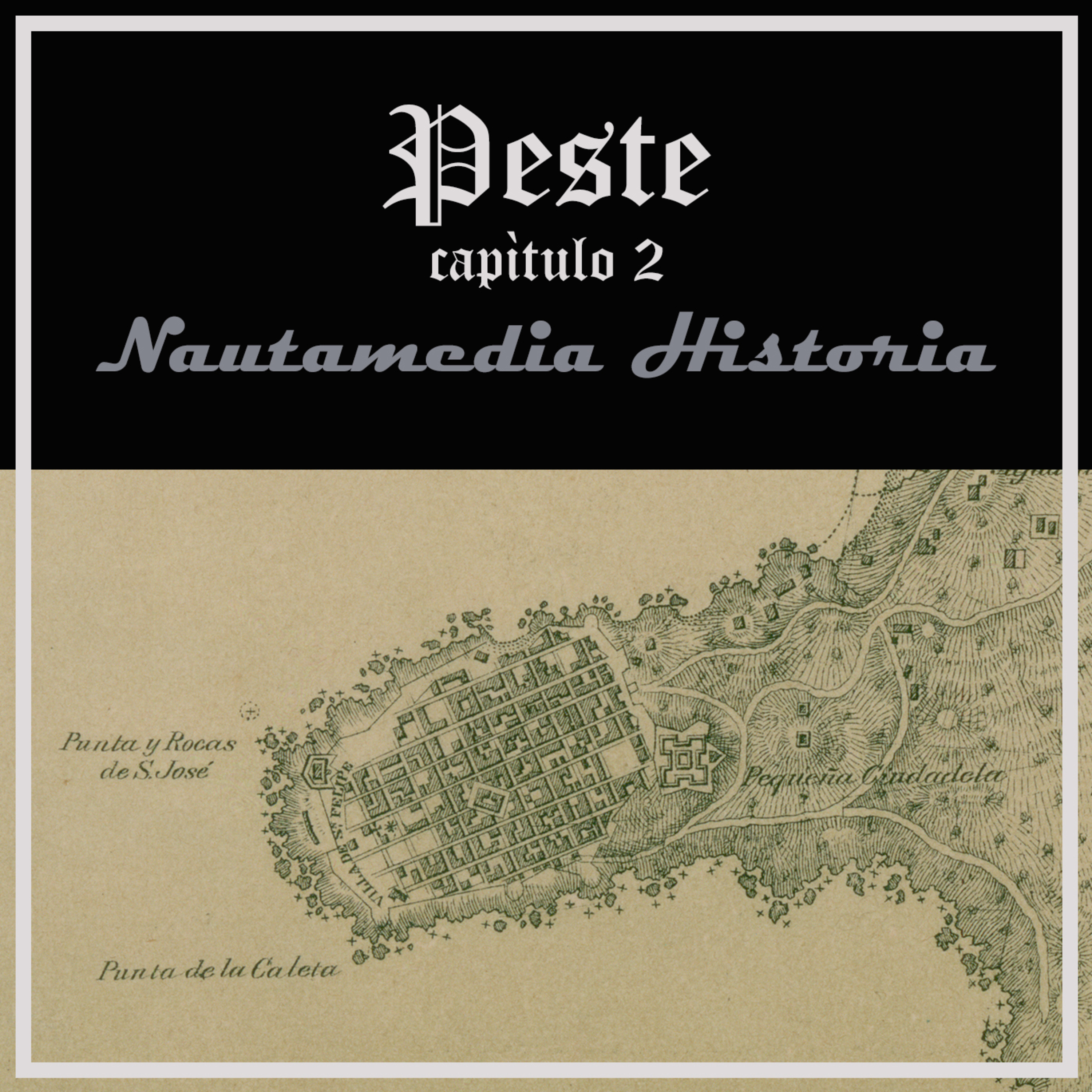 Nautamedia Historia