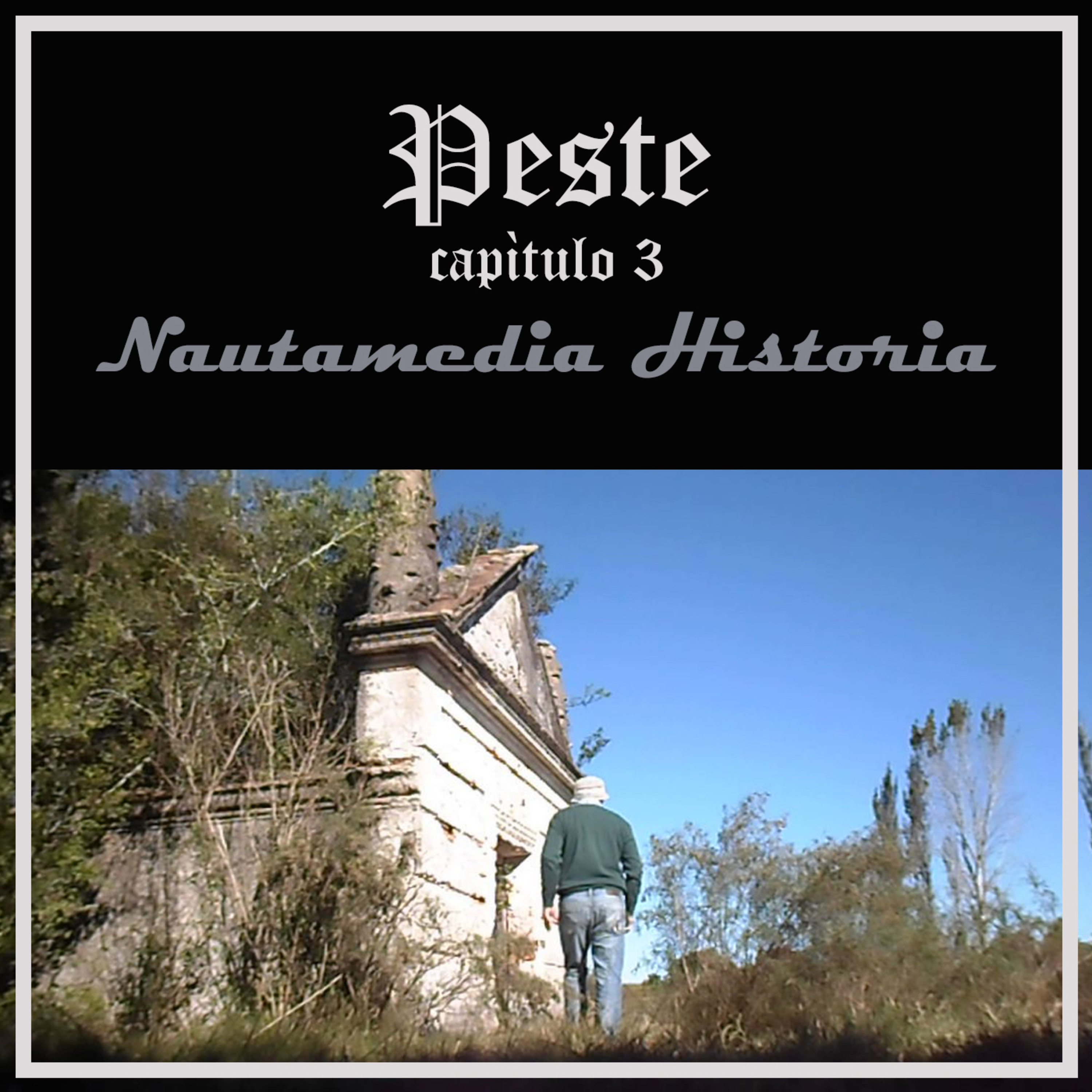 Nautamedia Historia