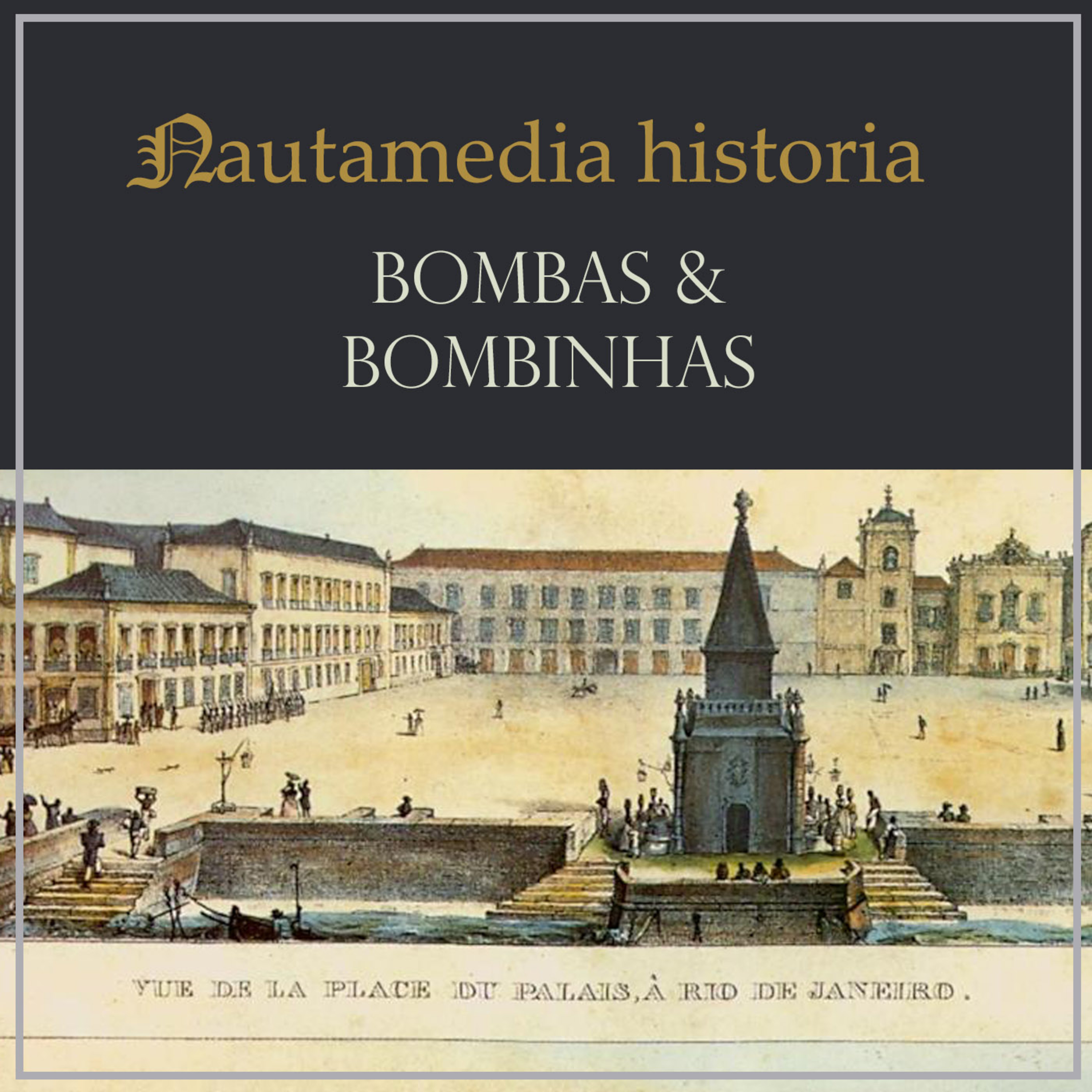 Nautamedia Historia