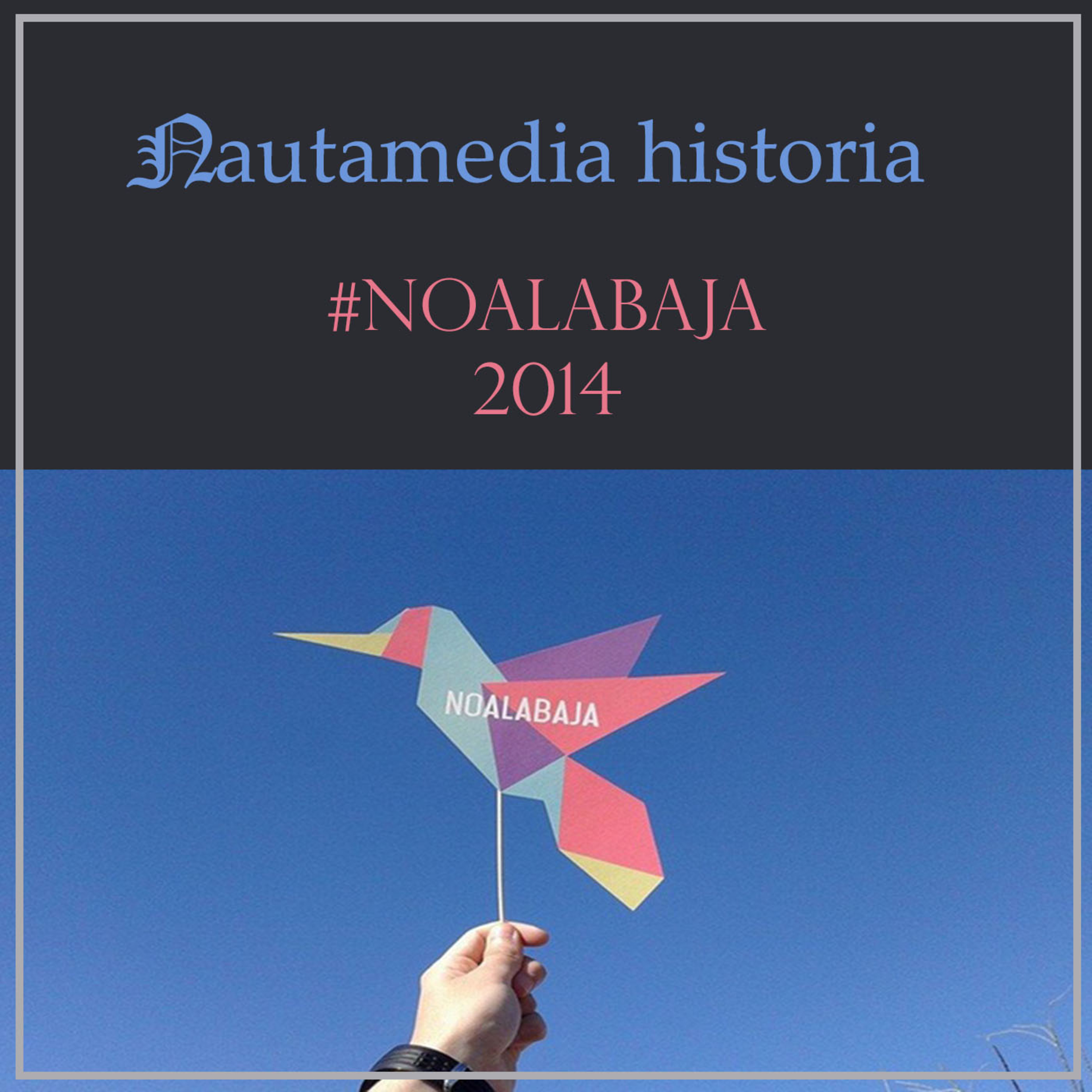 Nautamedia Historia