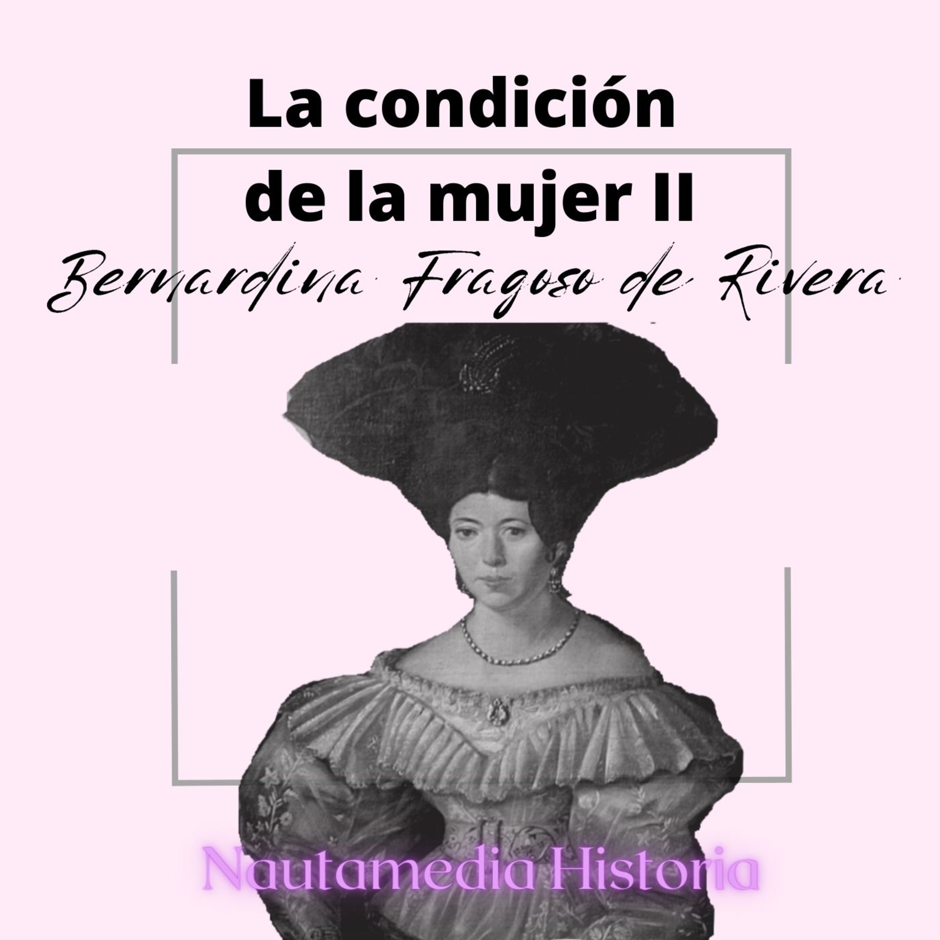 Nautamedia Historia