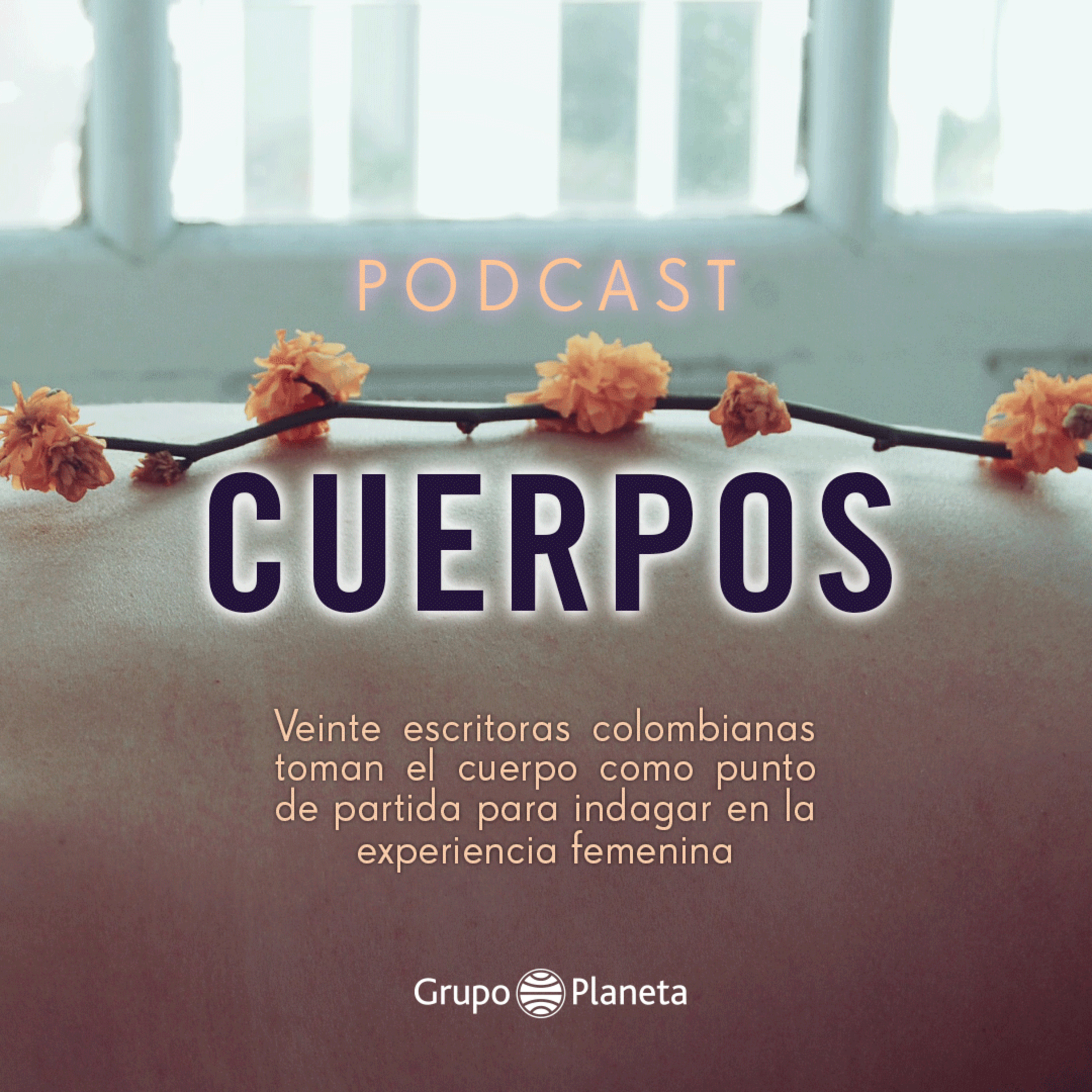 Cuerpos - Las mujeres no solo se tomaron por asalto la discusión pública: son protagonistas de ella. episode artwork
