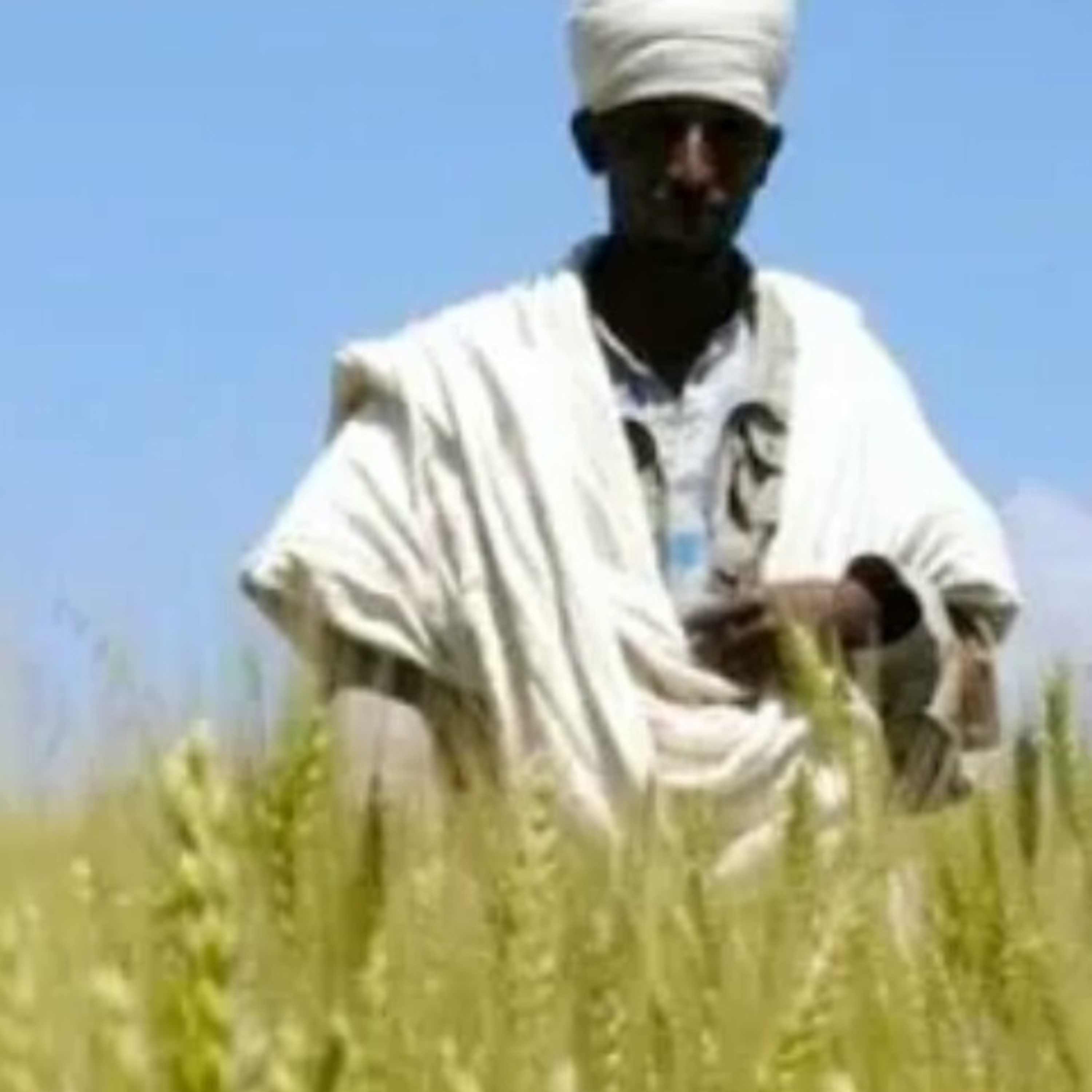 Hebrew Broadcasting Network