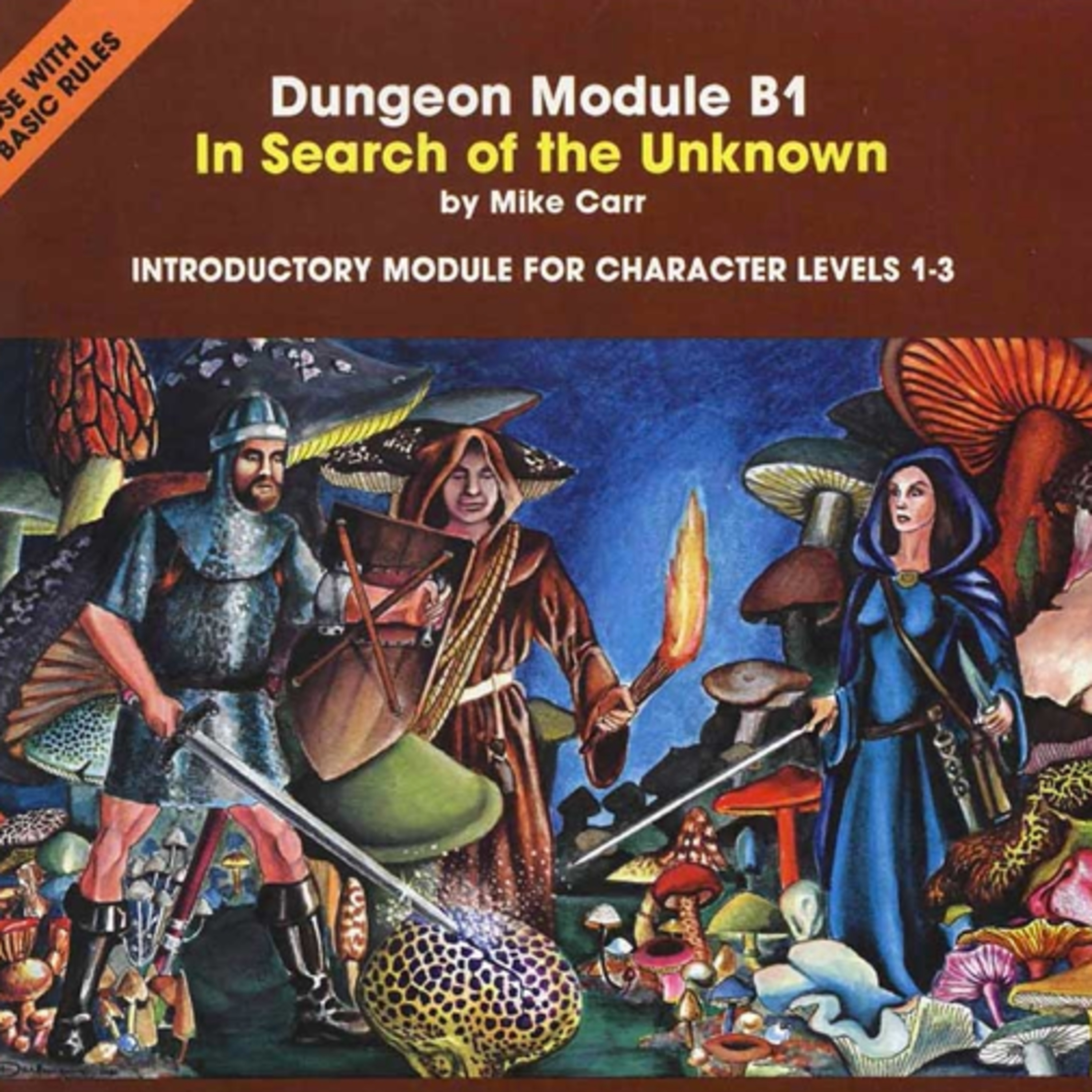 Dungeons and Dragons and Duncanites