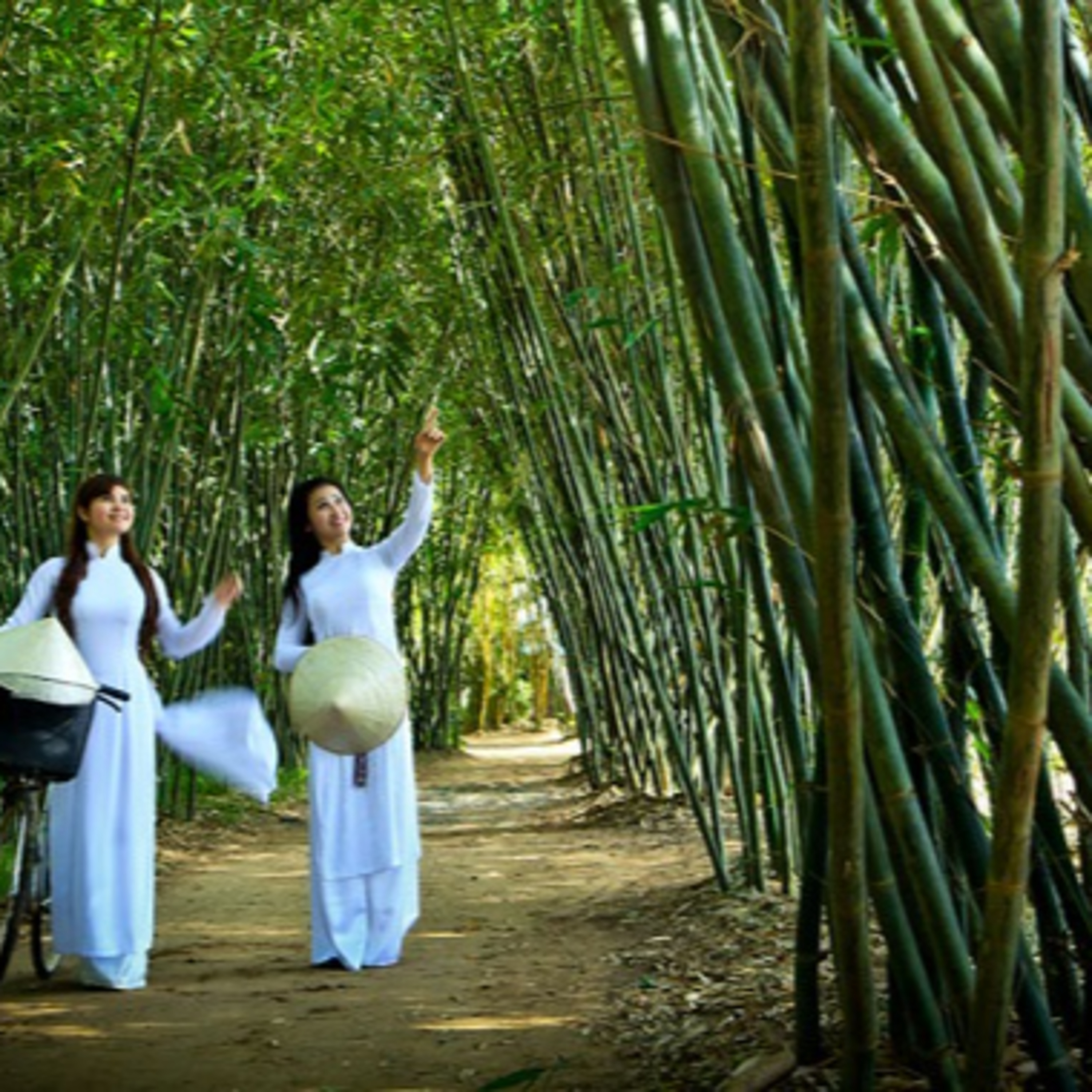 Trung Quốc bình luận về “Ngoại giao cây tre” của Việt Nam episode artwork