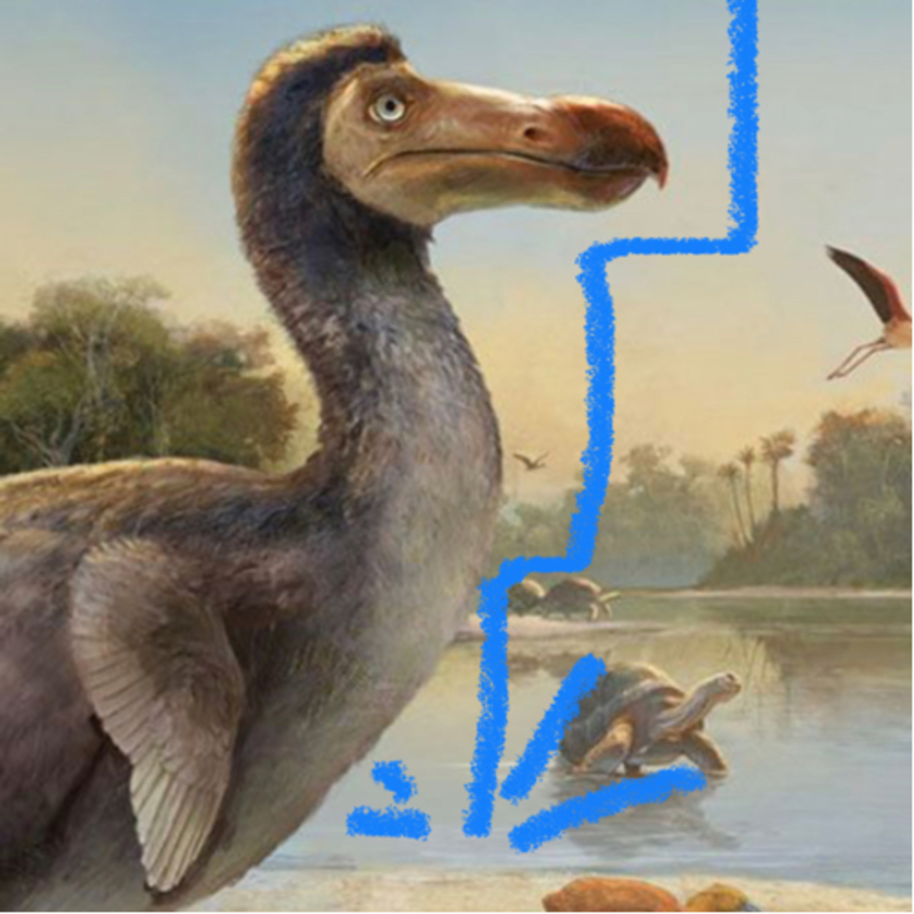 Slap Happy Dodo episode artwork