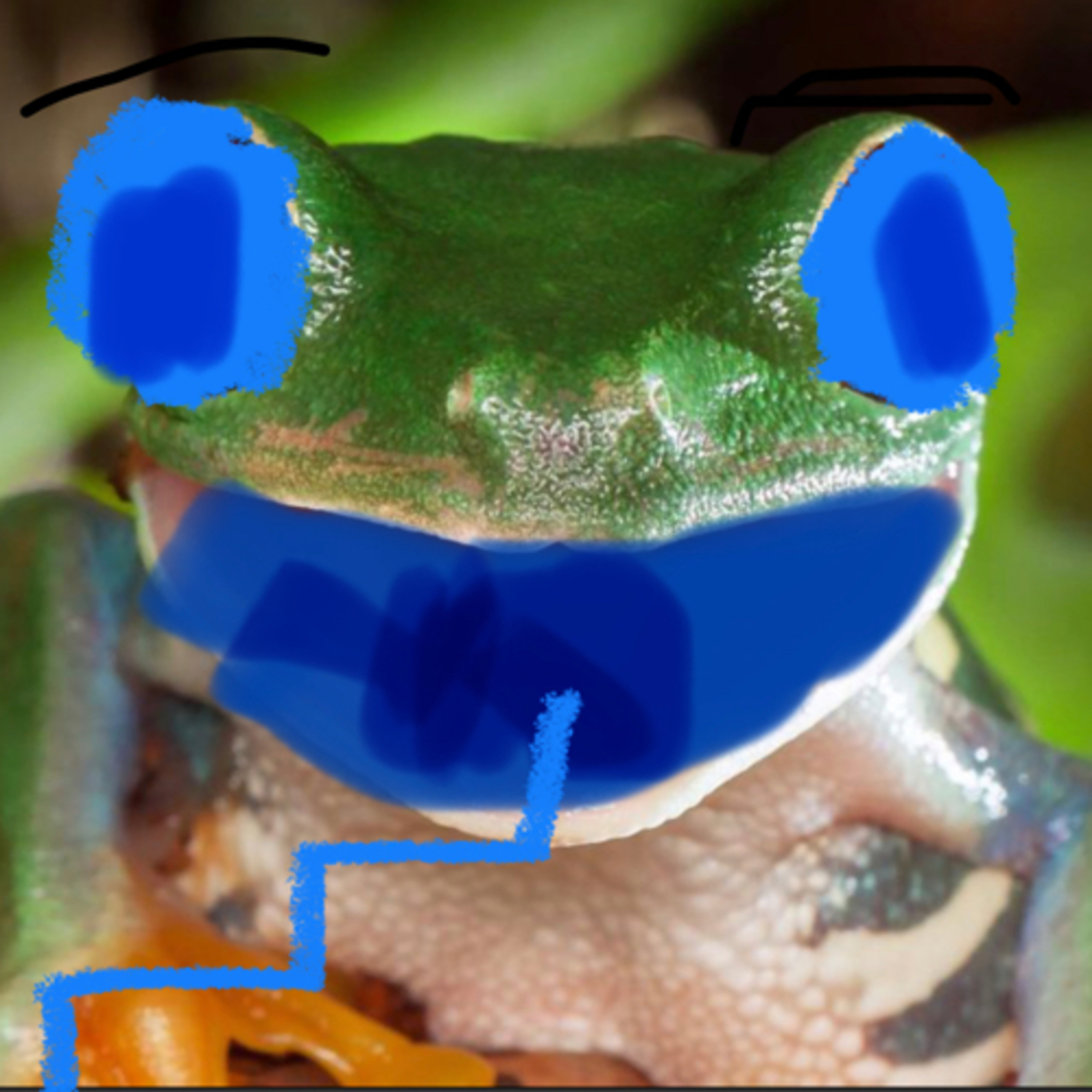 Frog  episode artwork
