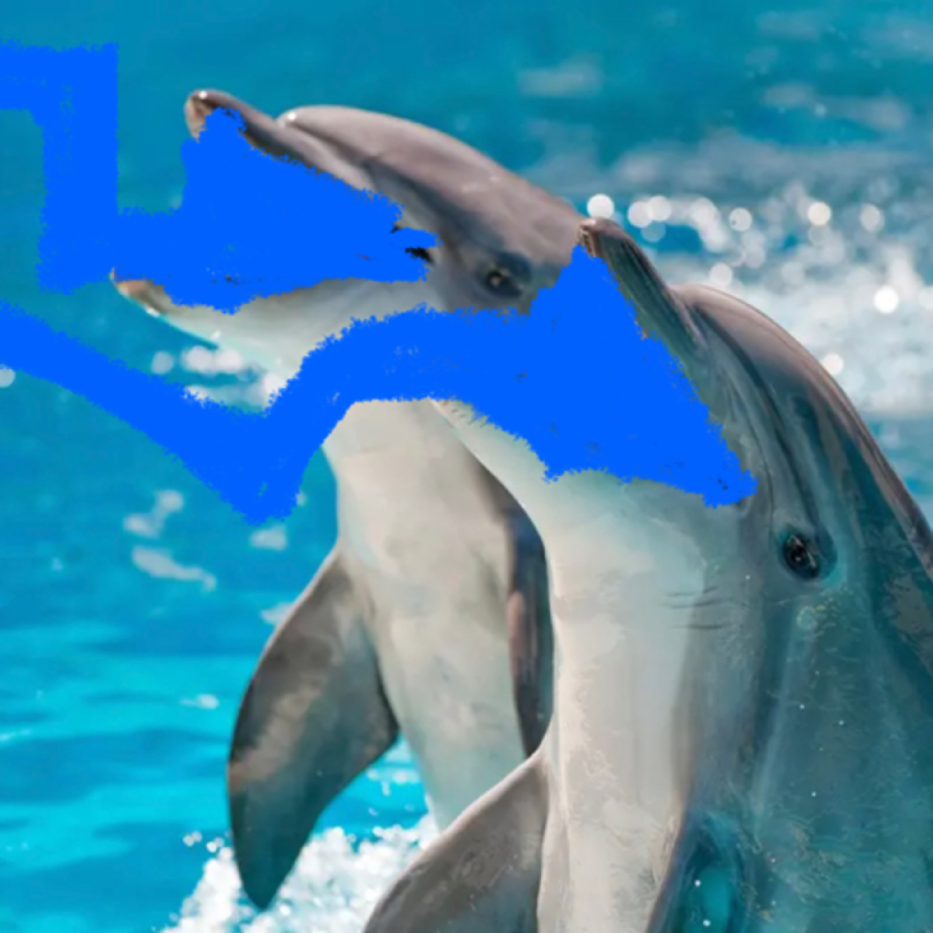 Dolphins 🐬 challenge  episode artwork