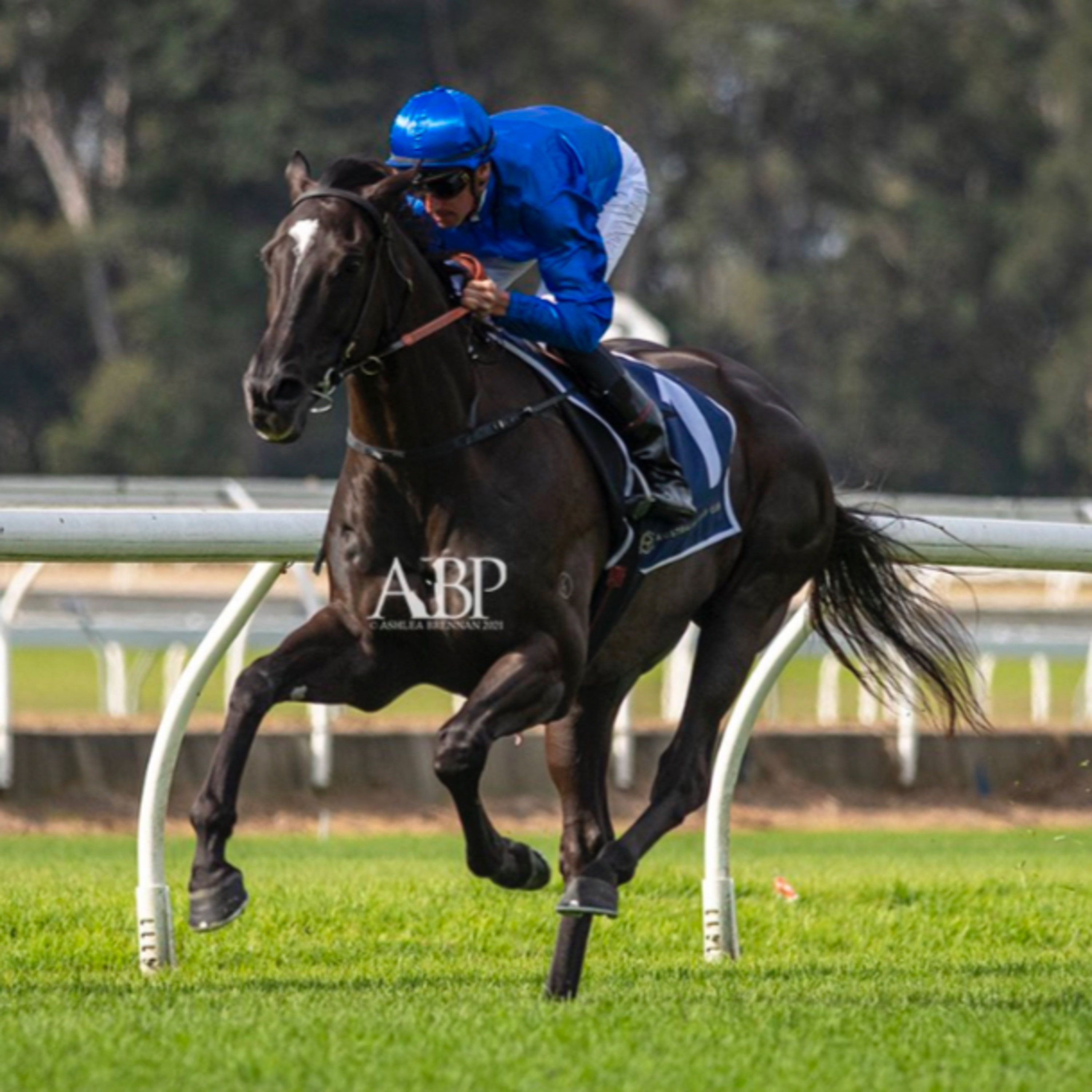 Yeah The Punt