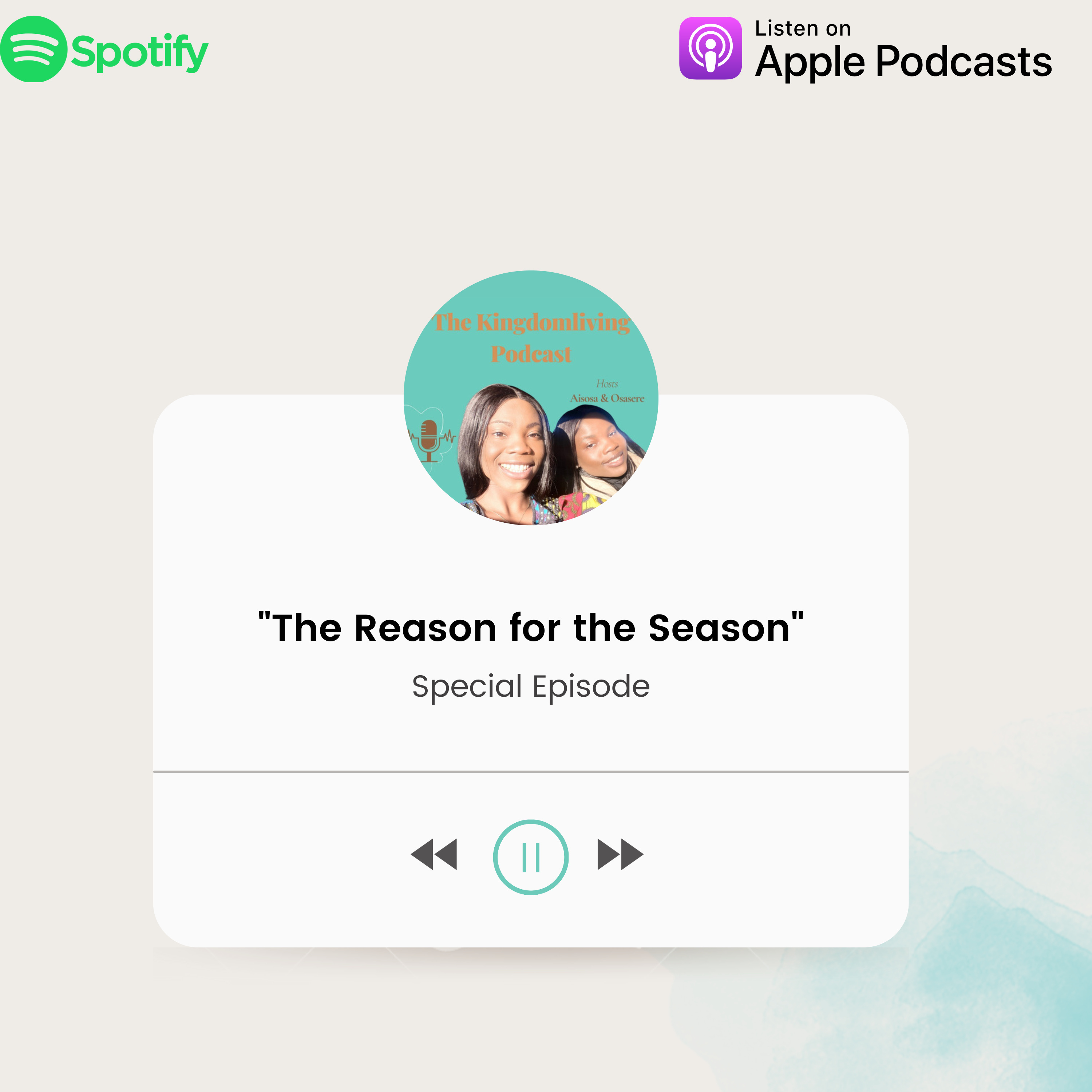 The Reason for the Season episode artwork