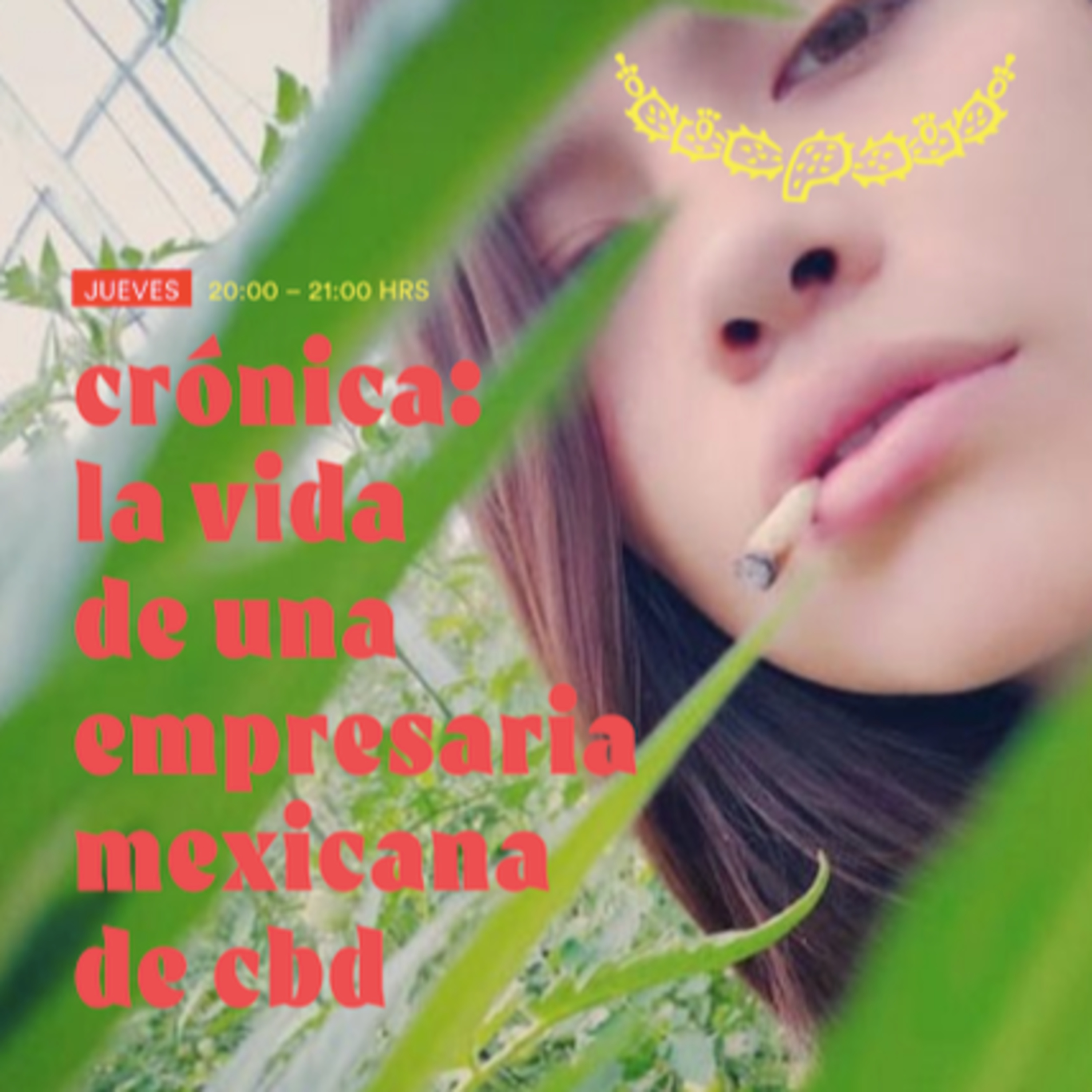 Crónica
