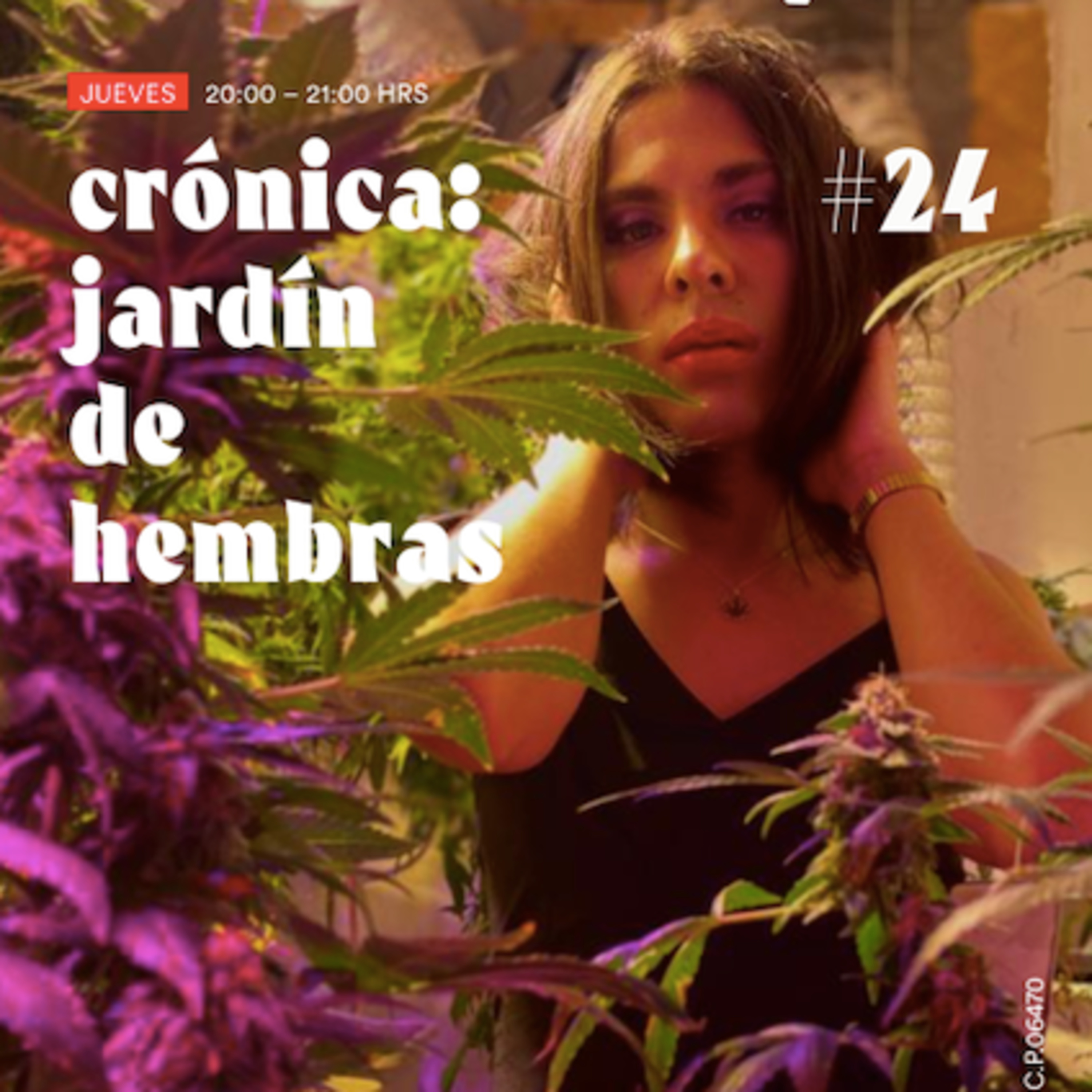 Ep. 24 Transfeminismo Cannábico episode artwork