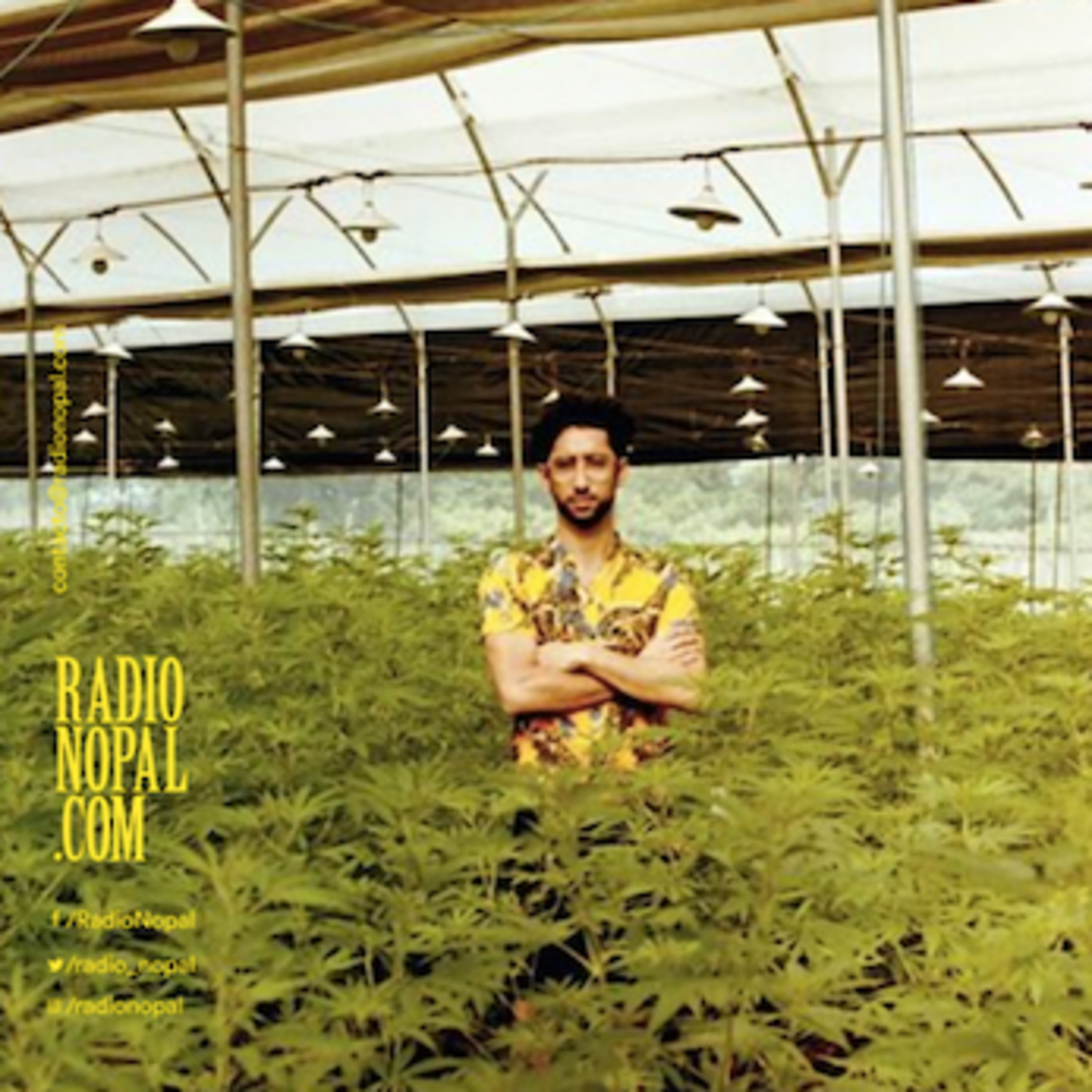 Ep. 81 Escribir de la weed con Javier Hasse episode artwork