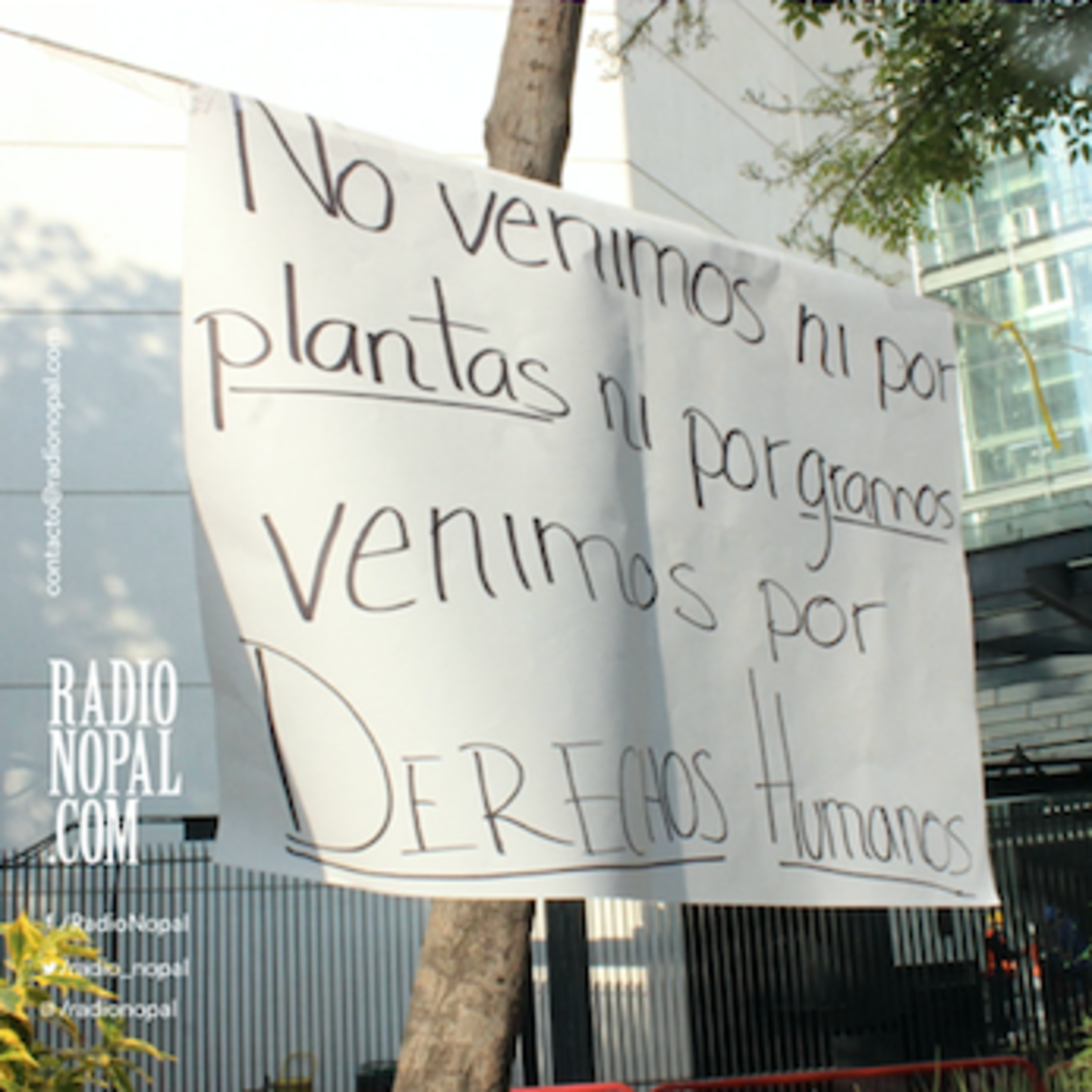 Ep. 112 ¿Qué tal con el plantón? episode artwork