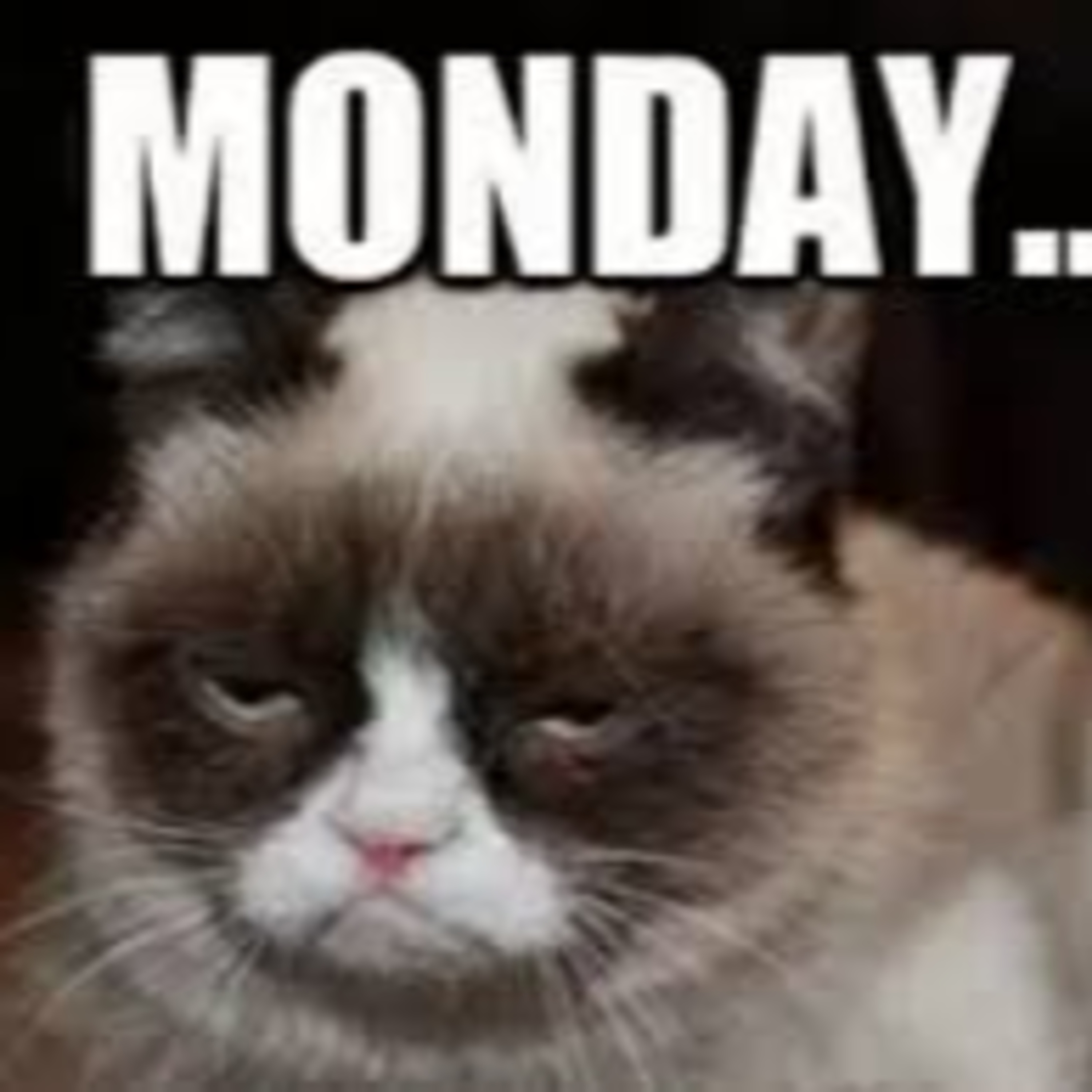 Poetry: I Hate Mondays episode artwork
